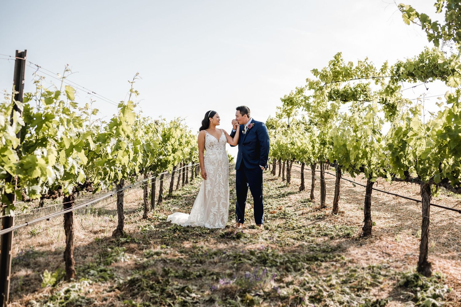 A romantic wedding photo captured in a scenic vineyard with rows of grapevines.