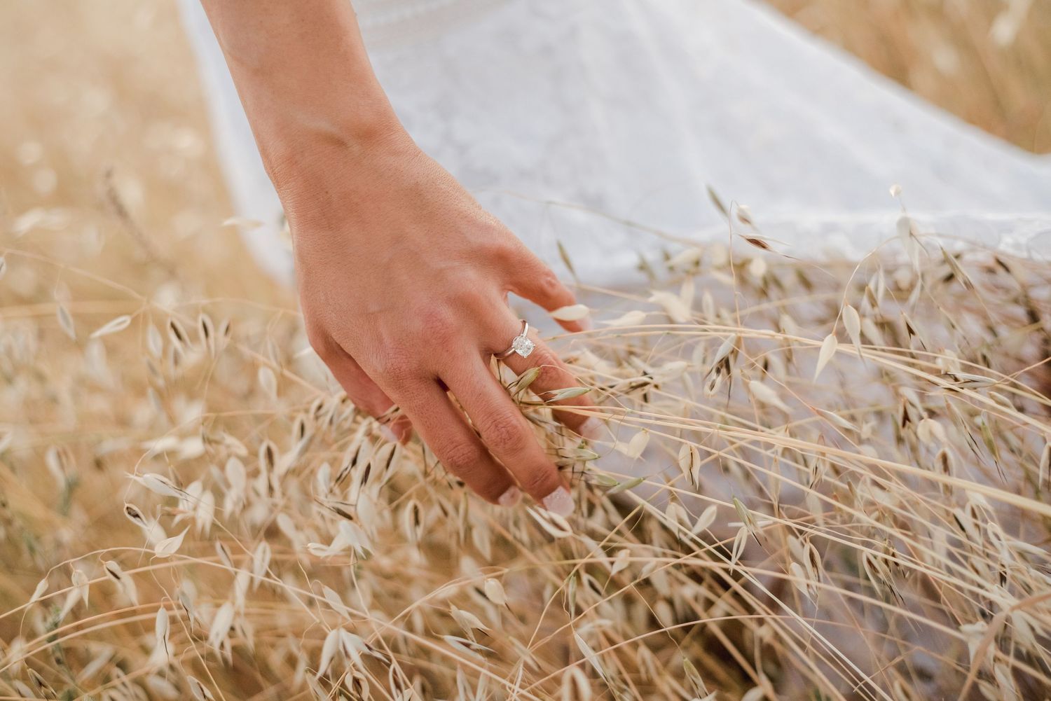 Hand with wedding ring gently touching golden wheat stalks in field.