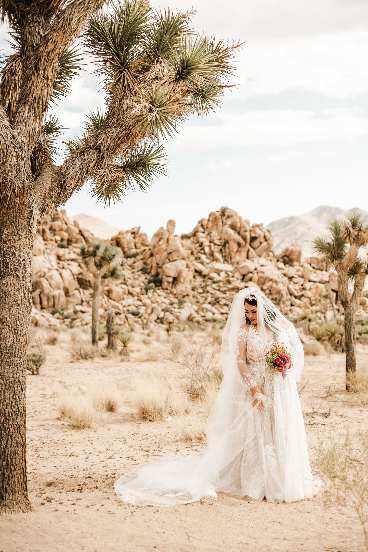 A bride in a flowing white gown and veil poses in a desert landscape with Joshua trees and rocky terrain.