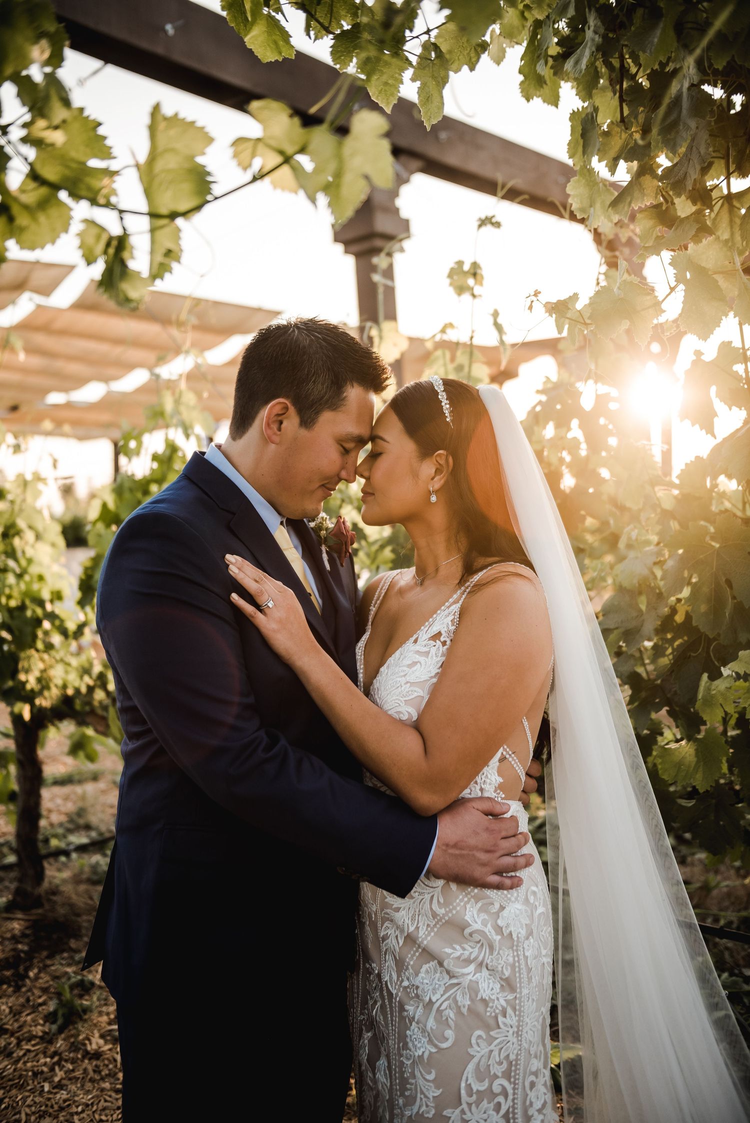 A romantic sunset portrait in a vineyard with sunlight filtering through grape leaves.