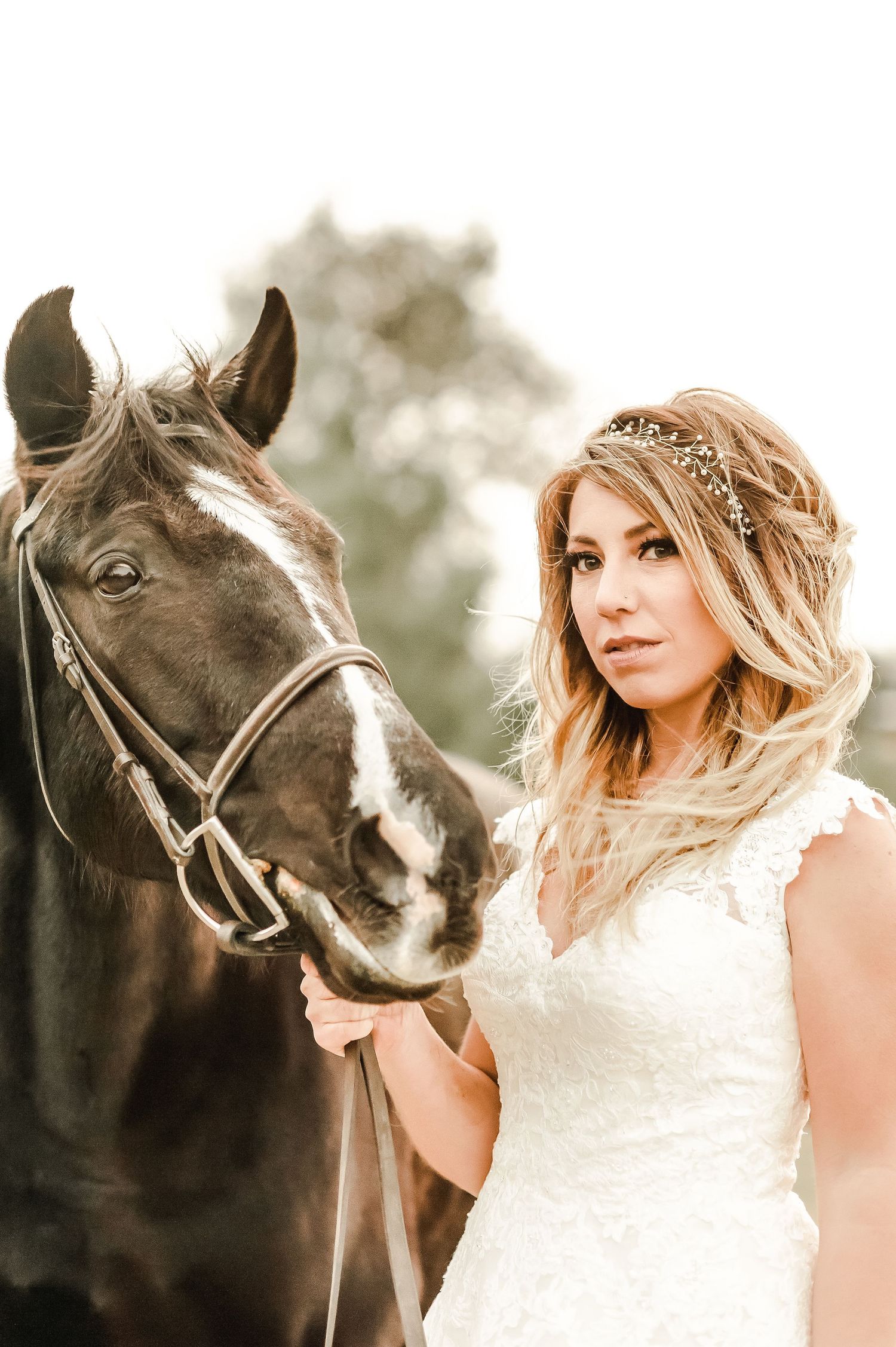Elegant bride in lace dress poses with dark brown horse wearing bridal headpiece.