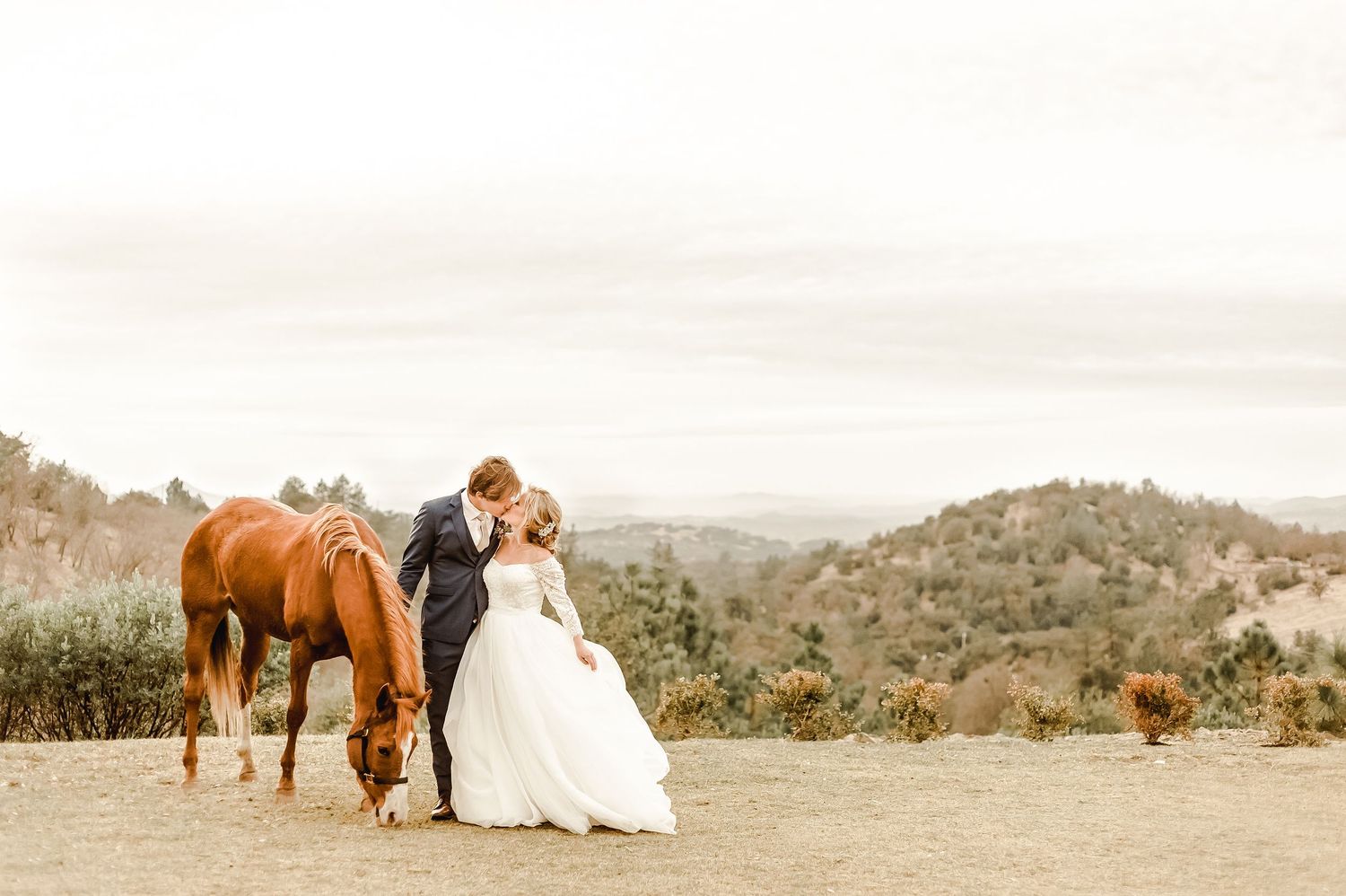 Wedding portrait featuring newlyweds and a brown horse against a scenic mountain backdrop.