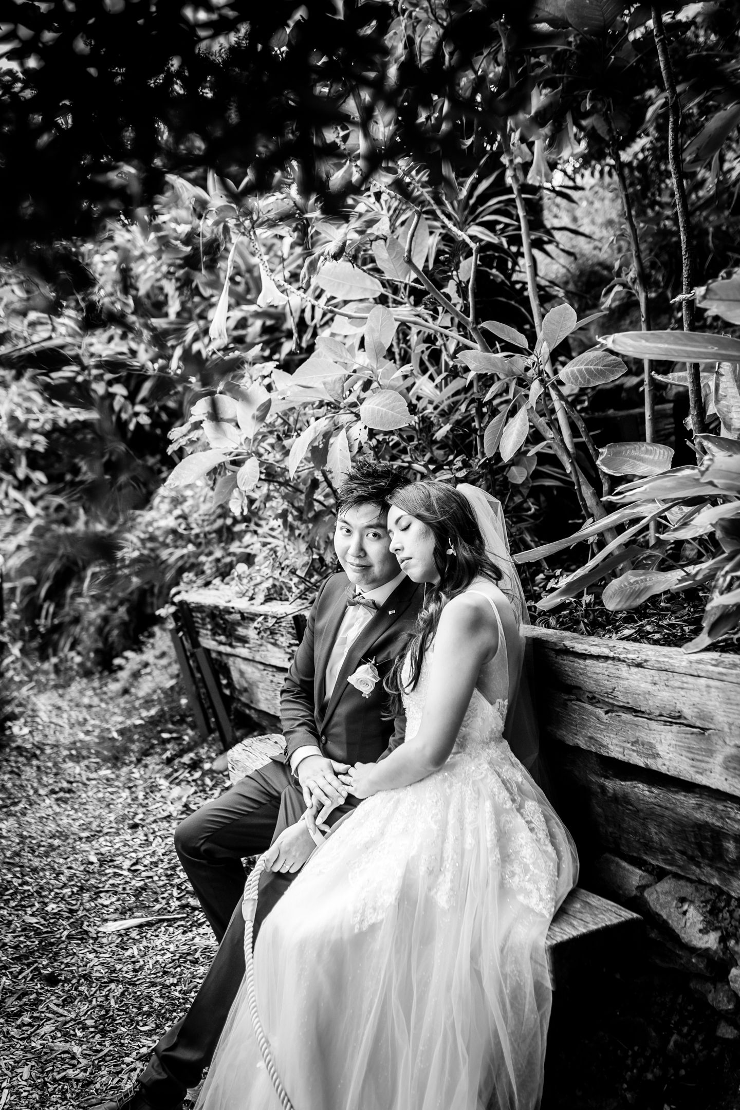 Intimate portrait of Geelong and Jenny under the giant fig trees in Lavender Bay.