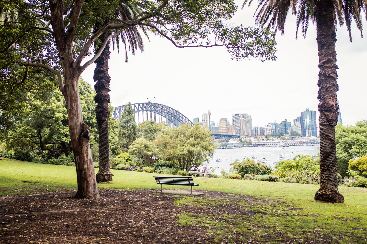 View of the Sydney Harbour Bridge framing the Clark Park Lavender Bay ceremony.