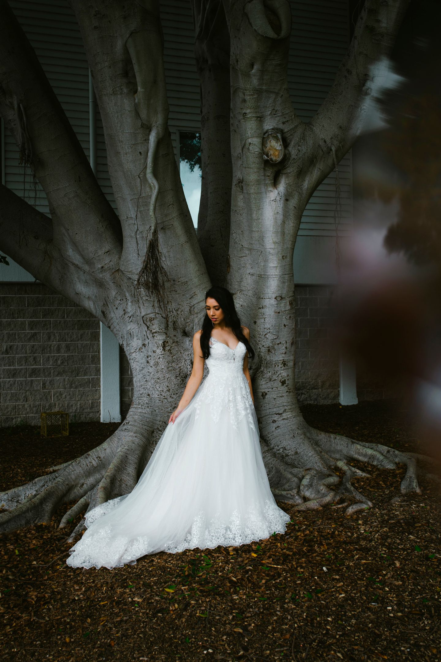 Editorial portrait showing the lace detail of the Oleg Cassini wedding dress in soft light.