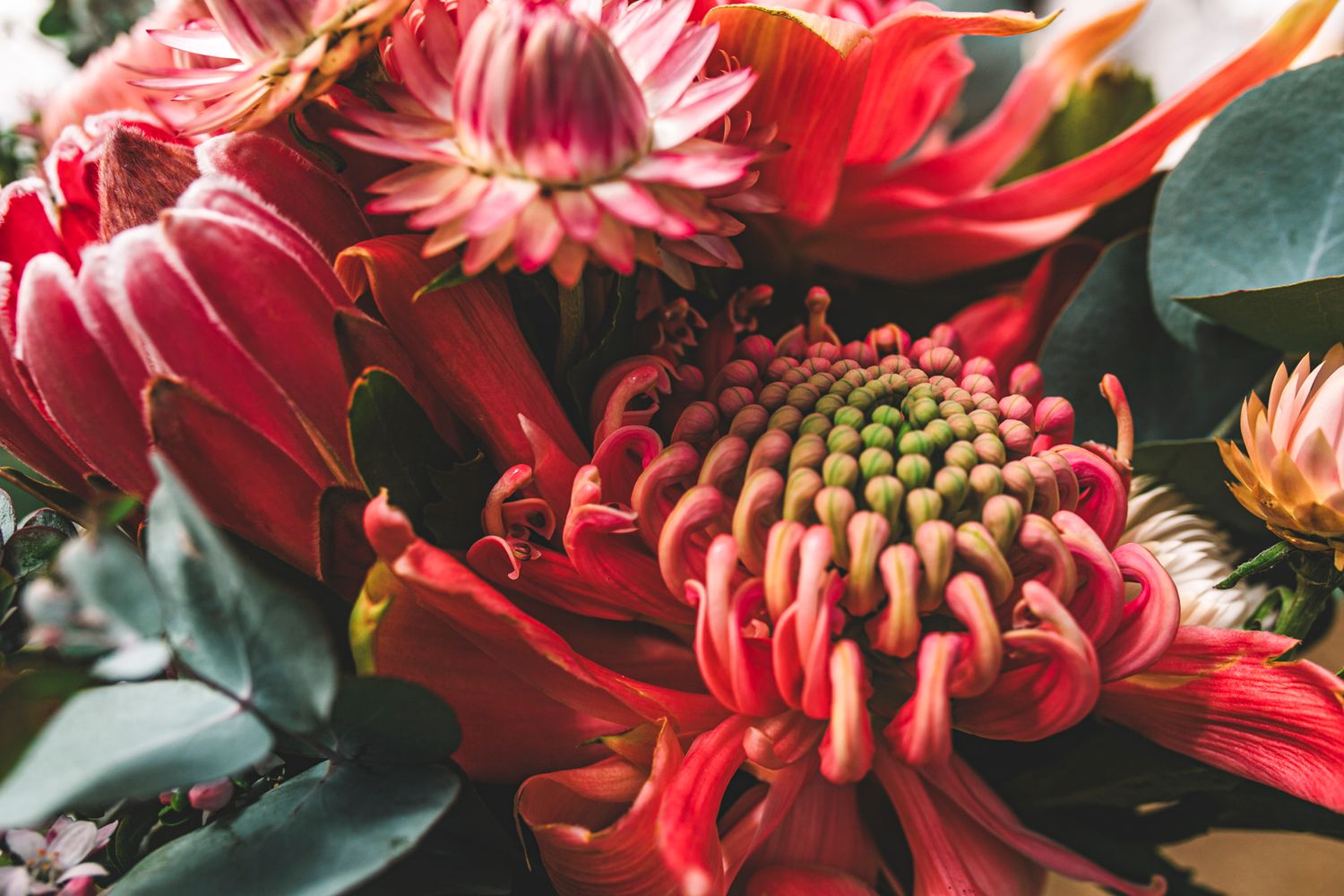 Wild and organic floral styling by Wild Lotus for a coastal Sydney wedding.