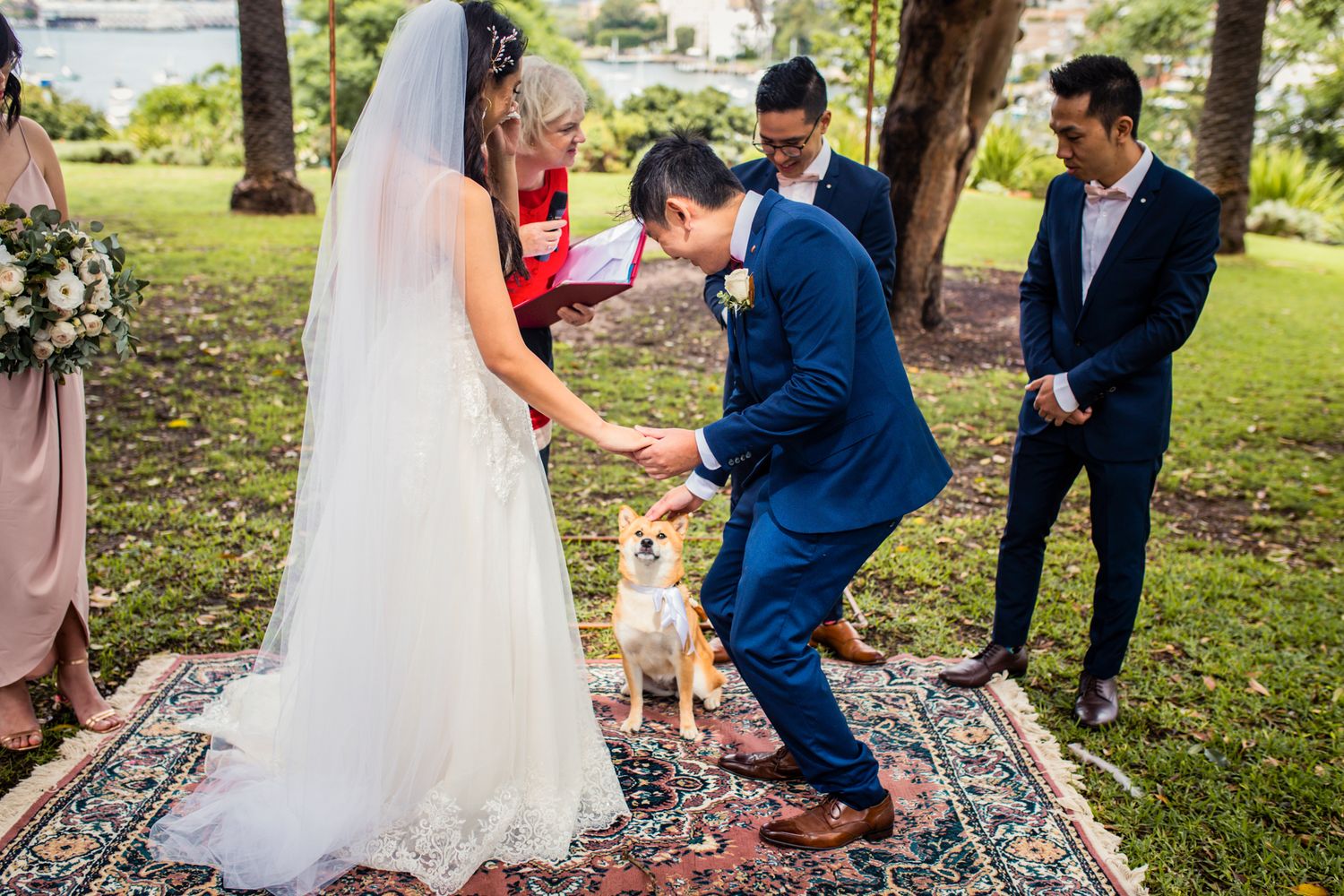 The couple’s dog walking down the aisle as the ring bearer at a garden wedding.