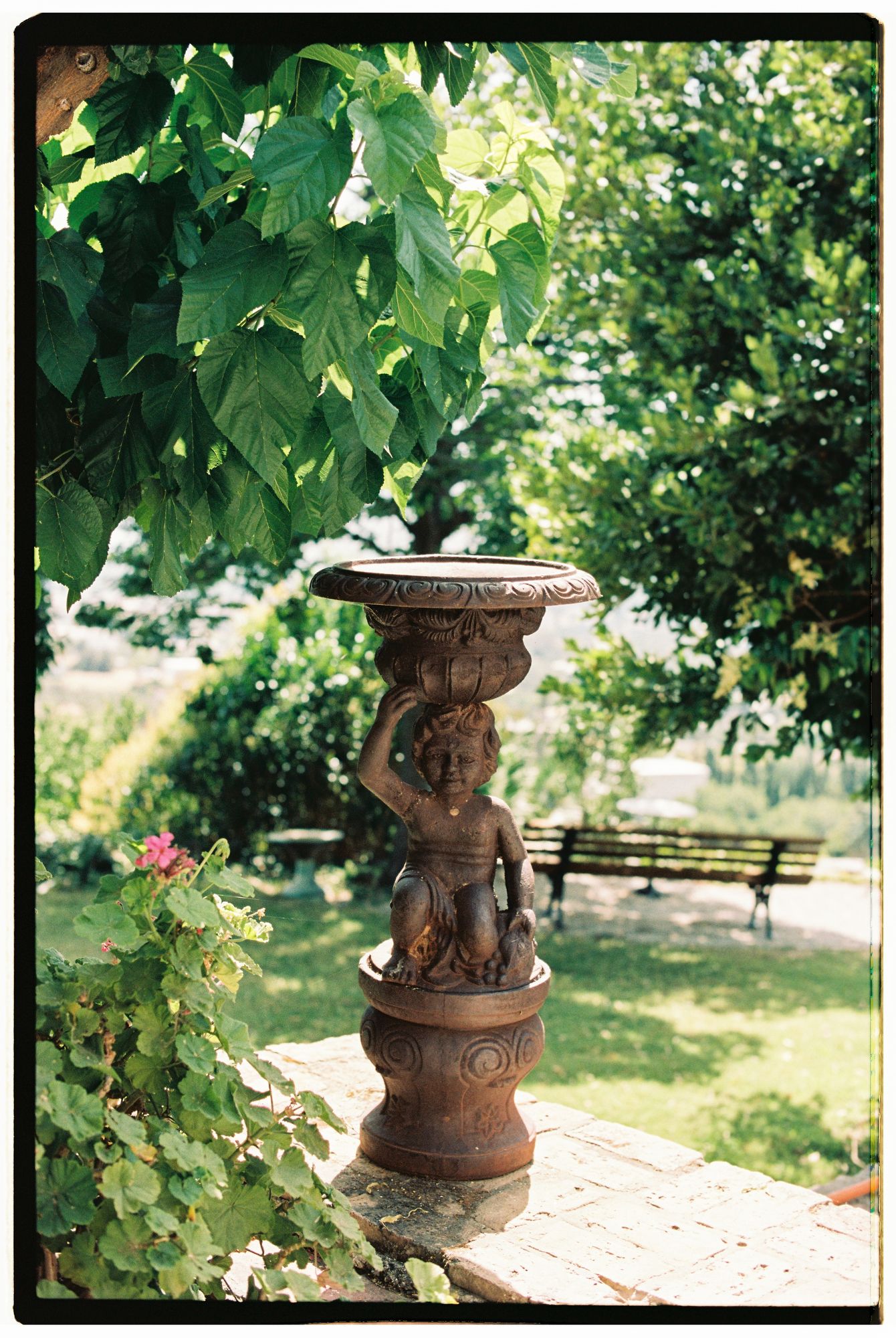A collection of decorative brown ceramic garden urns with intricate designs displayed outdoors among green foliage.