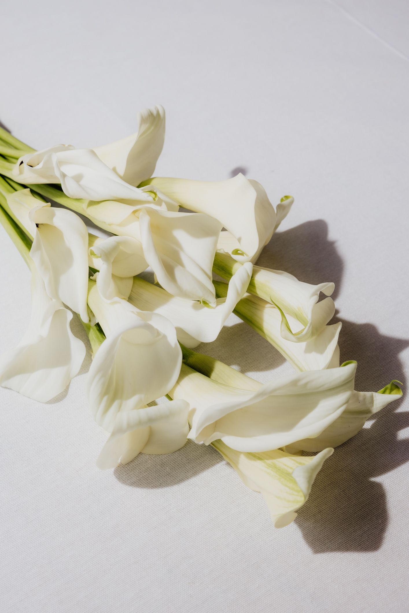 fashion wedding photographer