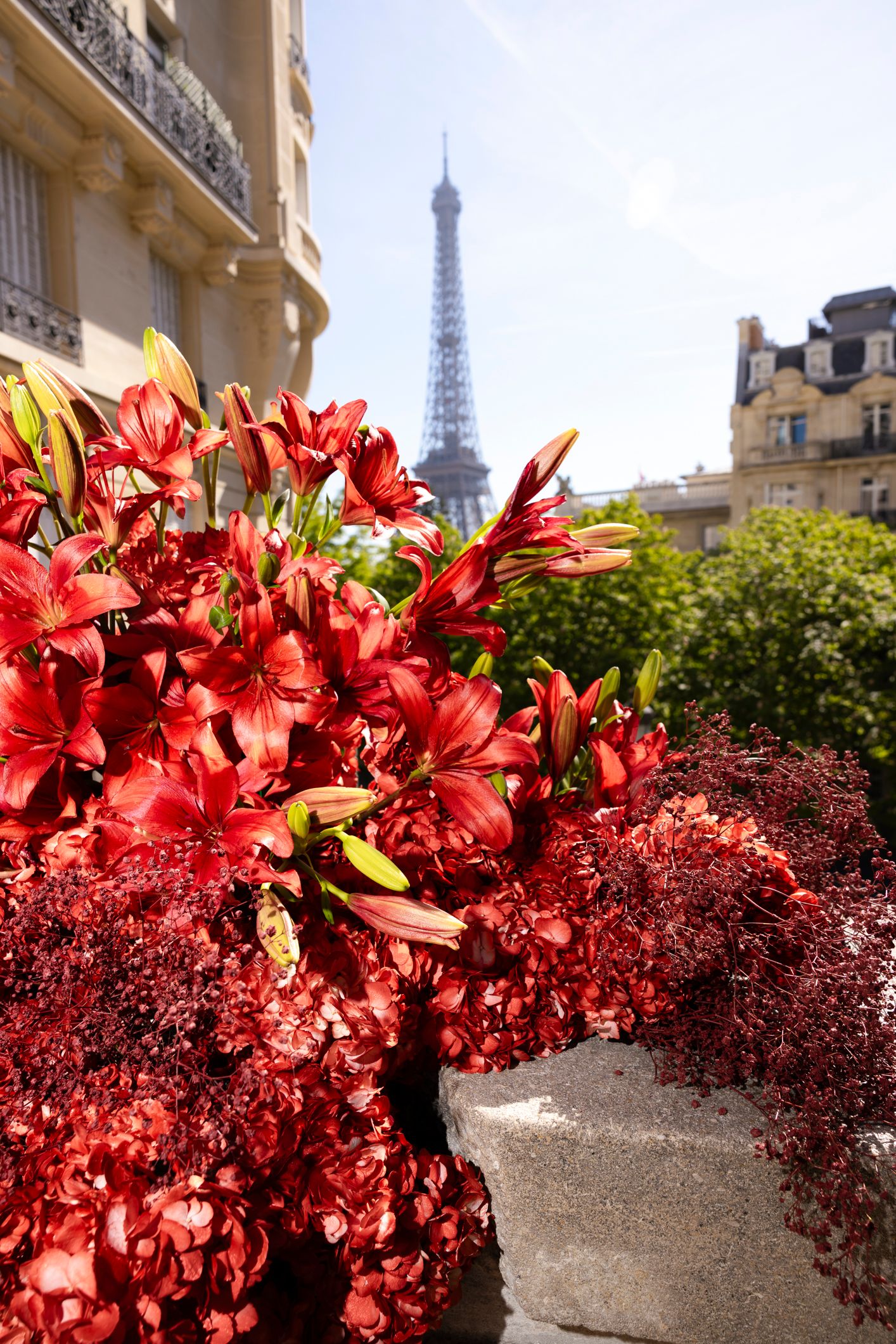Red lilies blooming in Paris with the Eiffel Tower visible in the background on a sunny day.