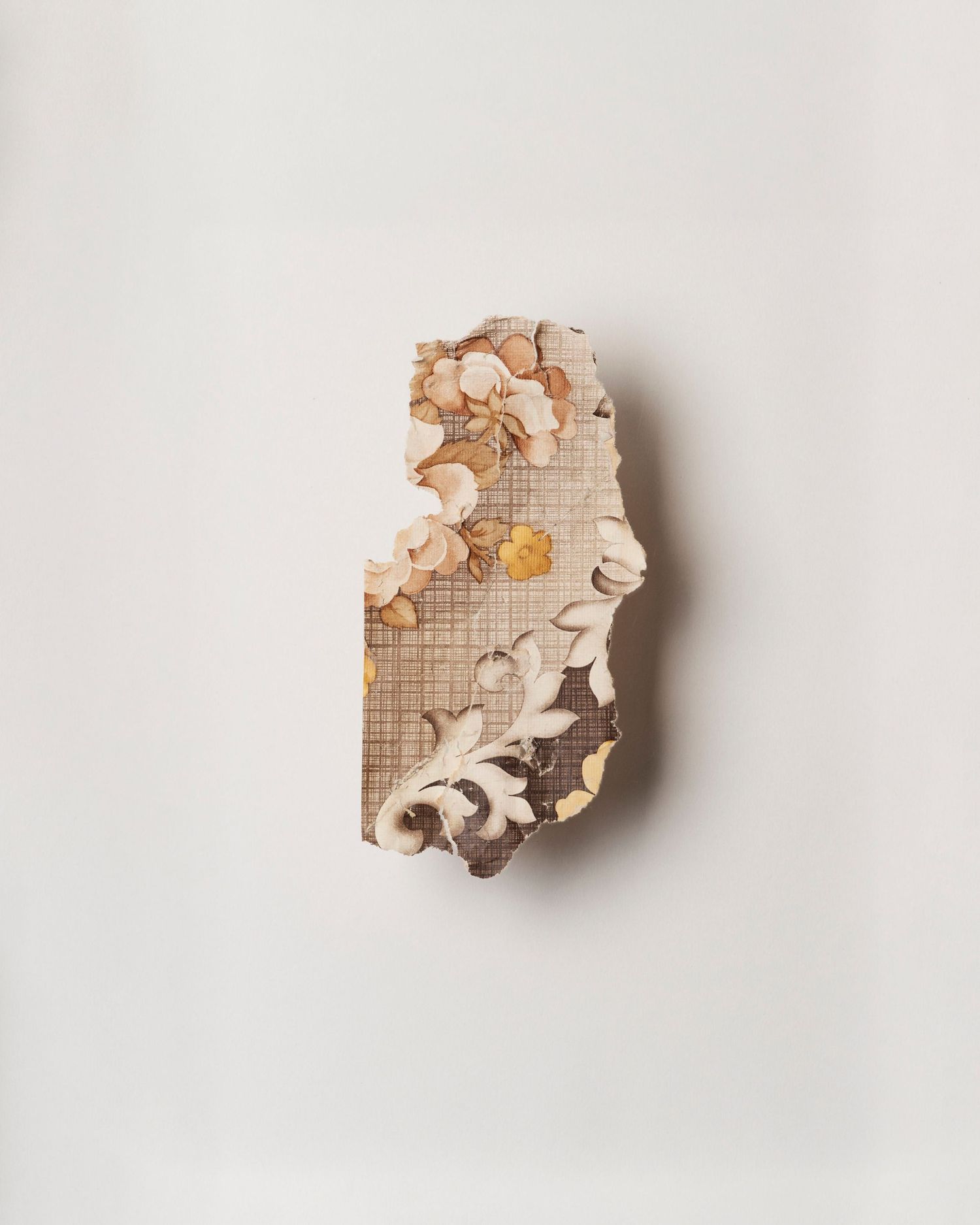 A fragment of wallpaper; brown flowery pattern