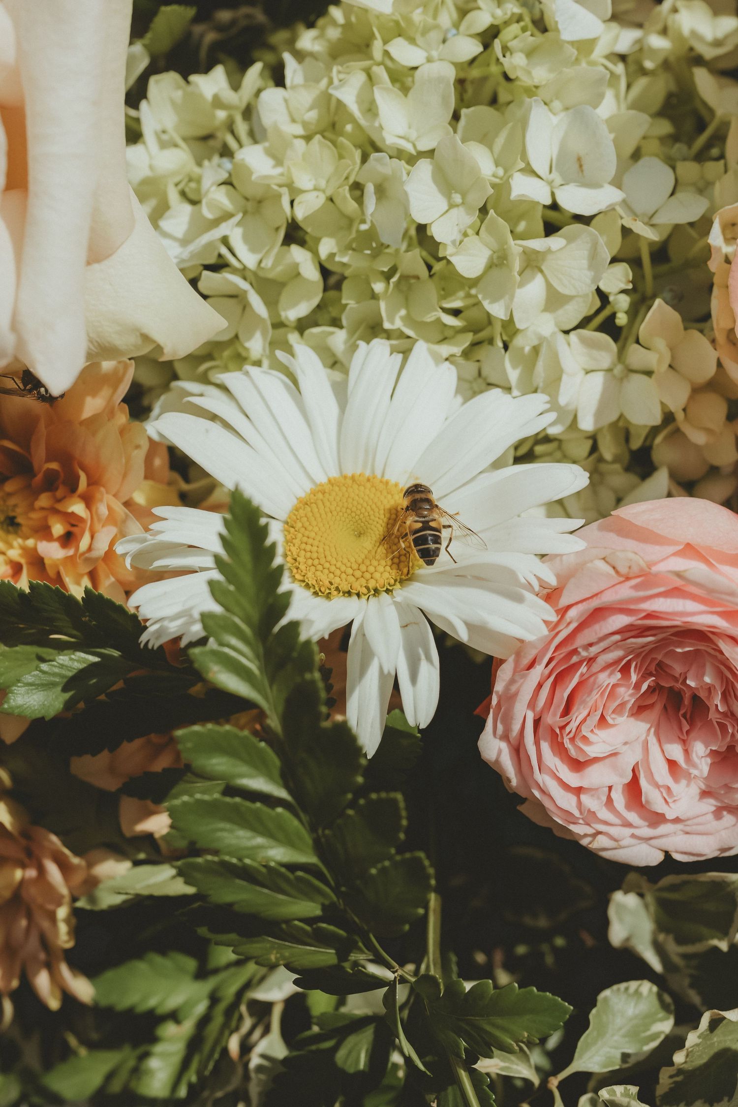 Bee checking out a wedding floral arrangement set up at outdoor ceremony at Askham Hall