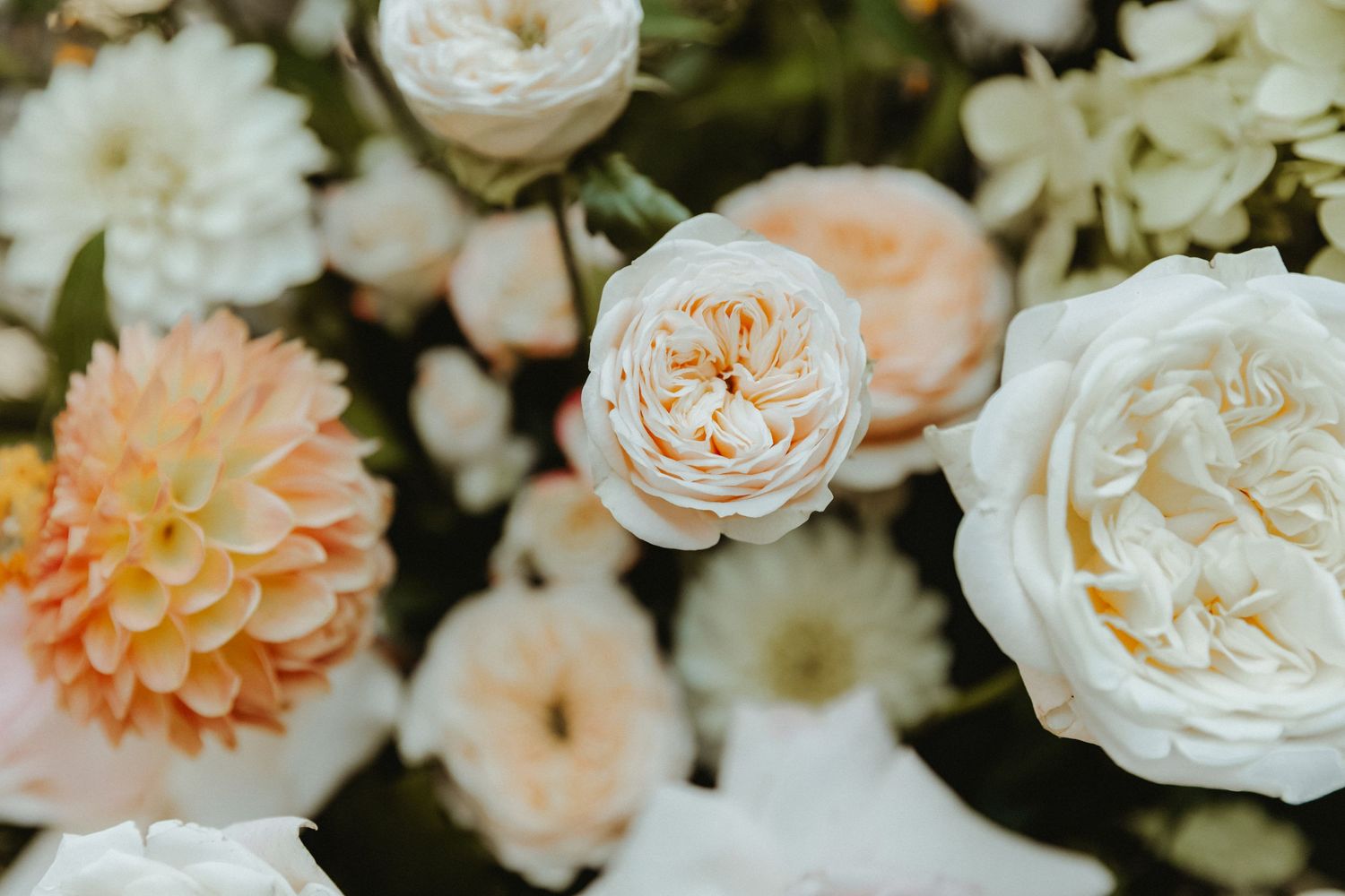 Close up of flower arrangement at wedding including different varieties of flowers