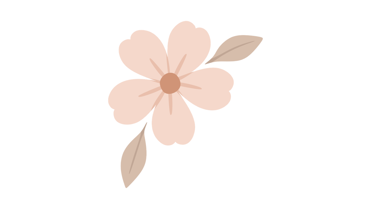 Single soft pink flower with brown center and two green-gray leaves on white background.