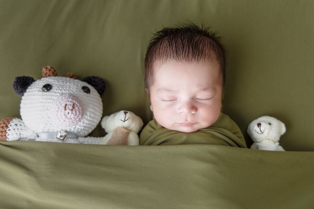 Newborn baby sleeping peacefully wrapped in green, flanked by crocheted cat and small white teddy bear stuffed animals.