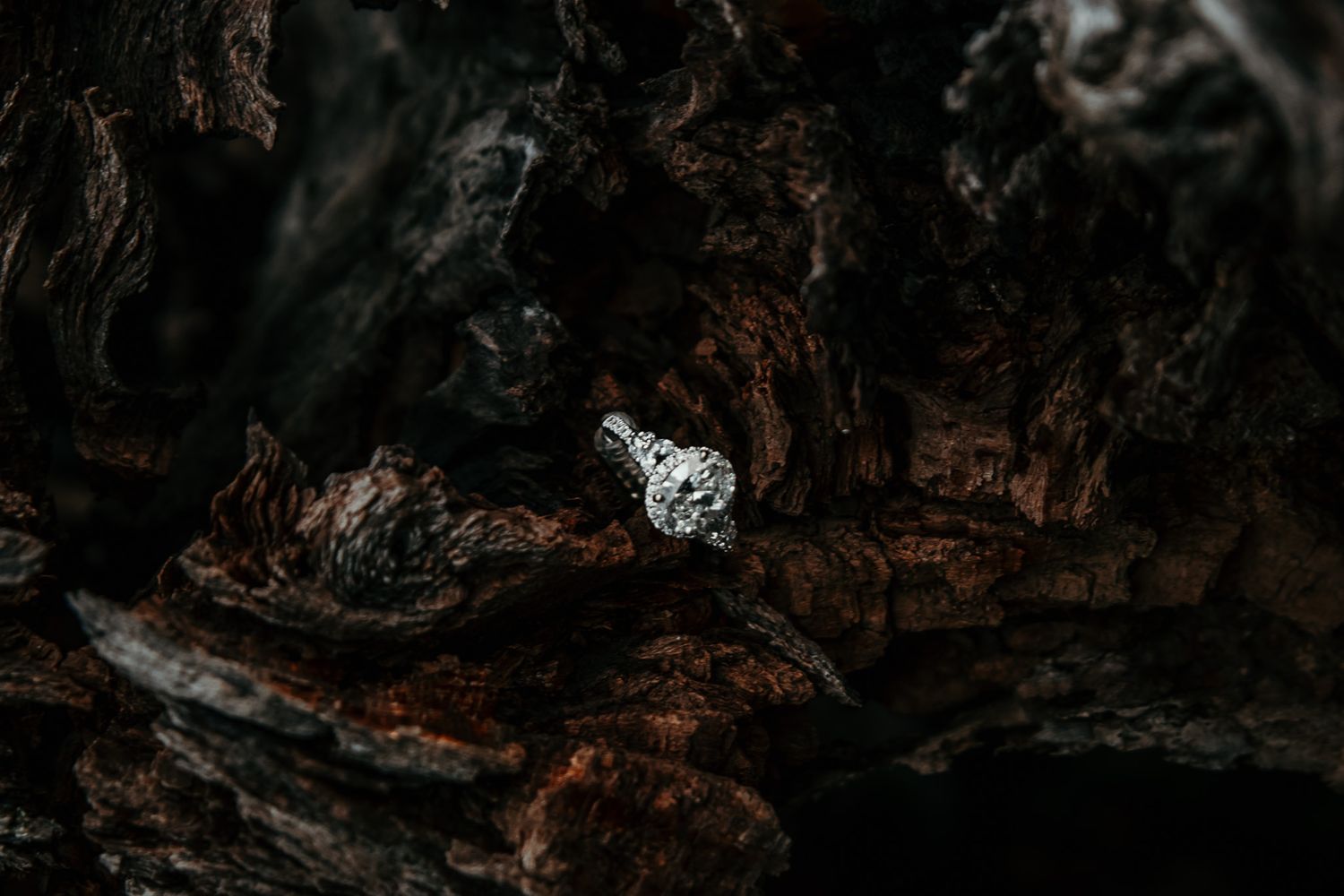 rustic ring detail shot on an old piece of driftwood