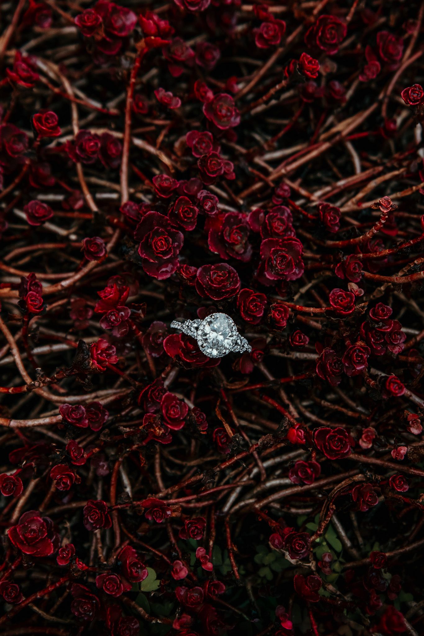 moody and floral ring detail shot