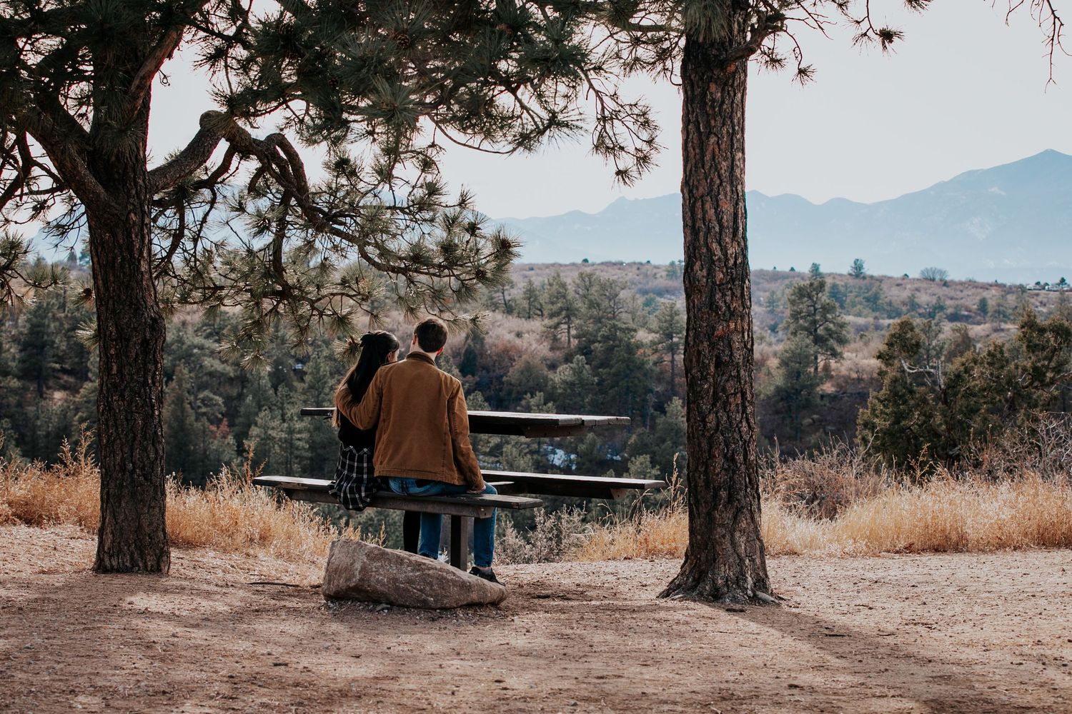 Pine trees frame a distant mountain view with wooden picnic table in foreground.