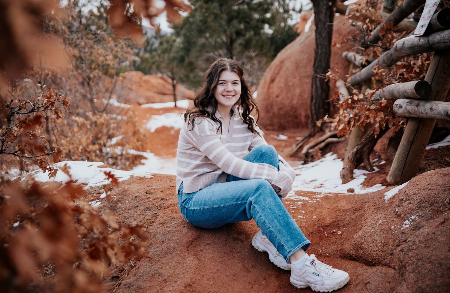 Natural outdoor winter photography with snow and reddish rock formations.