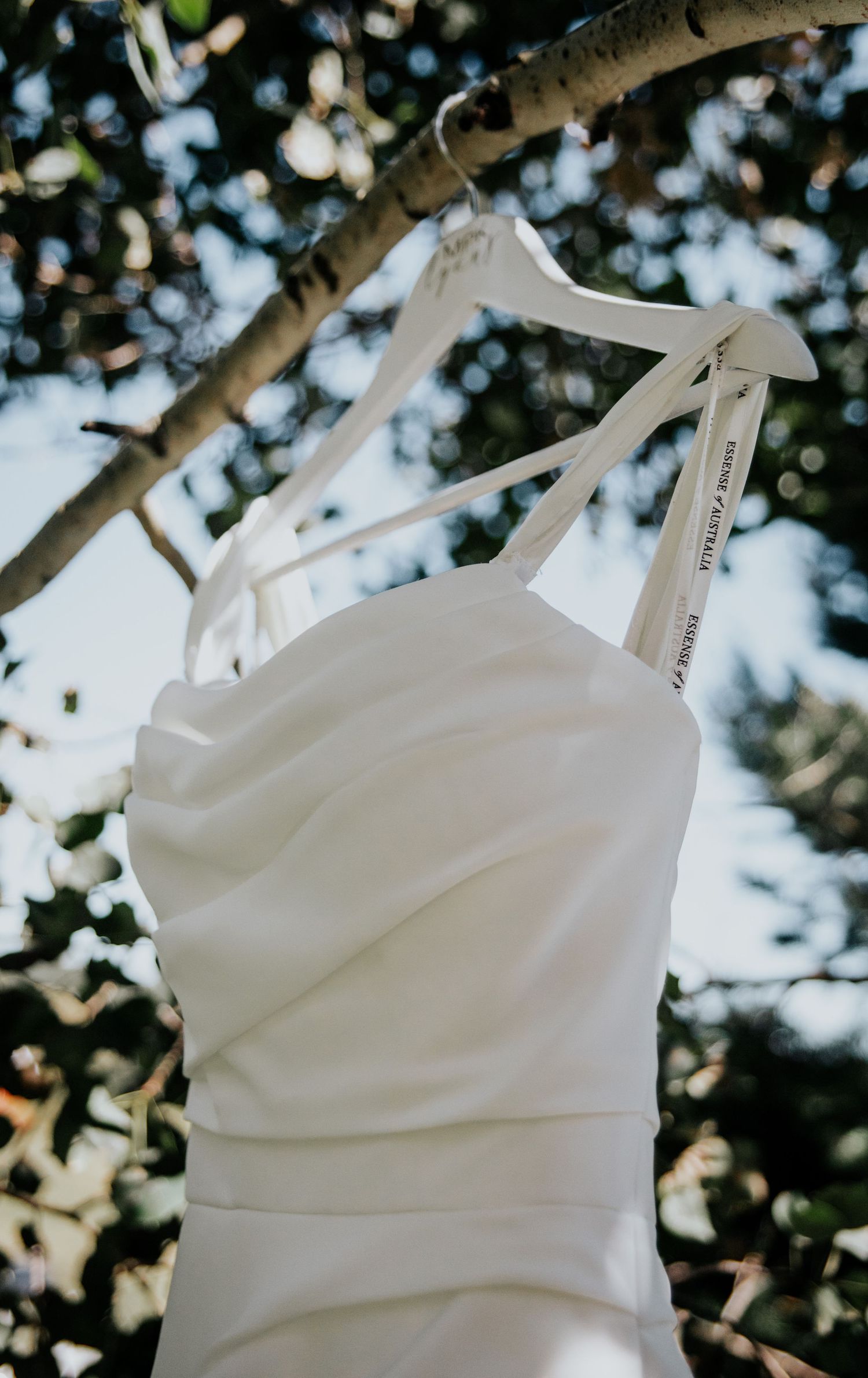 White wedding dress hanging on a wooden hanger against a birch tree with bokeh background.