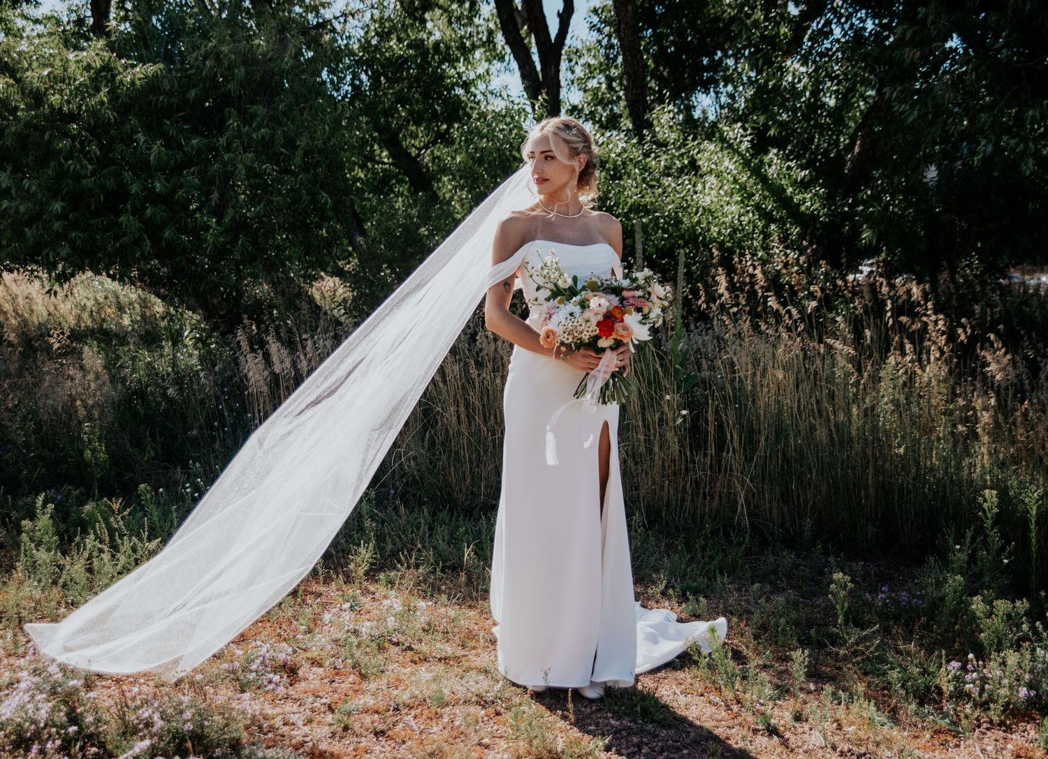 A bride in a sleek white wedding dress with a flowing veil stands in a sunlit outdoor setting.