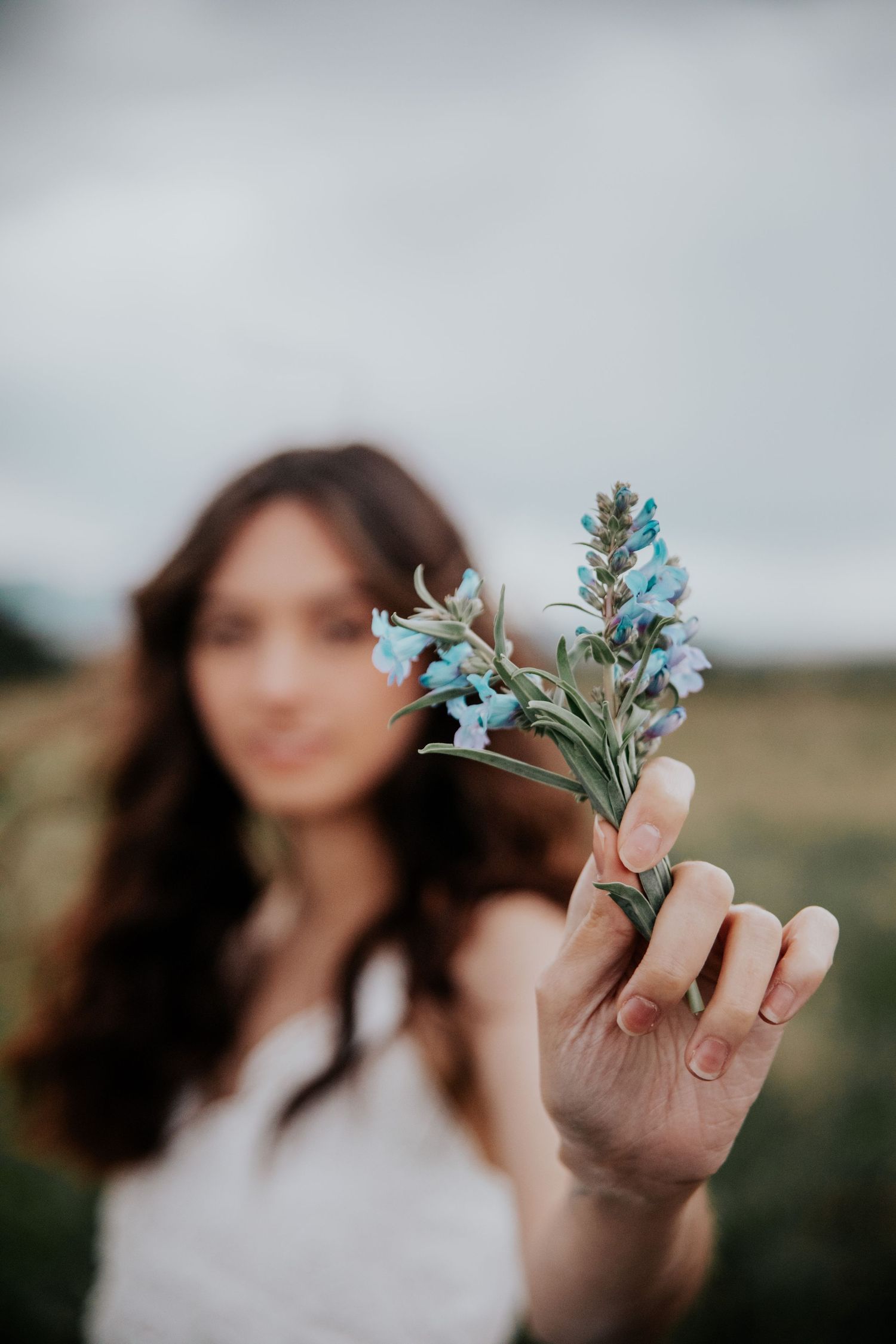 Close-up shots focusing on small blue wildflowers being held up against a blurred background.