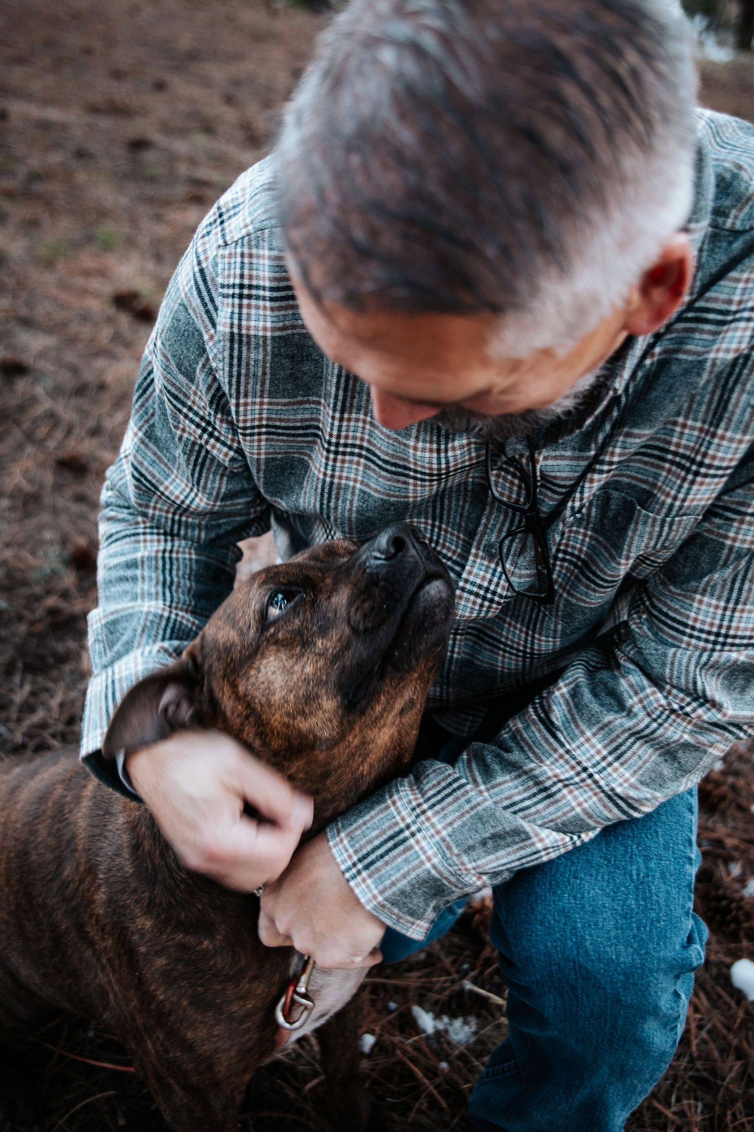 Person in plaid shirt lovingly petting a brown dog outdoors.