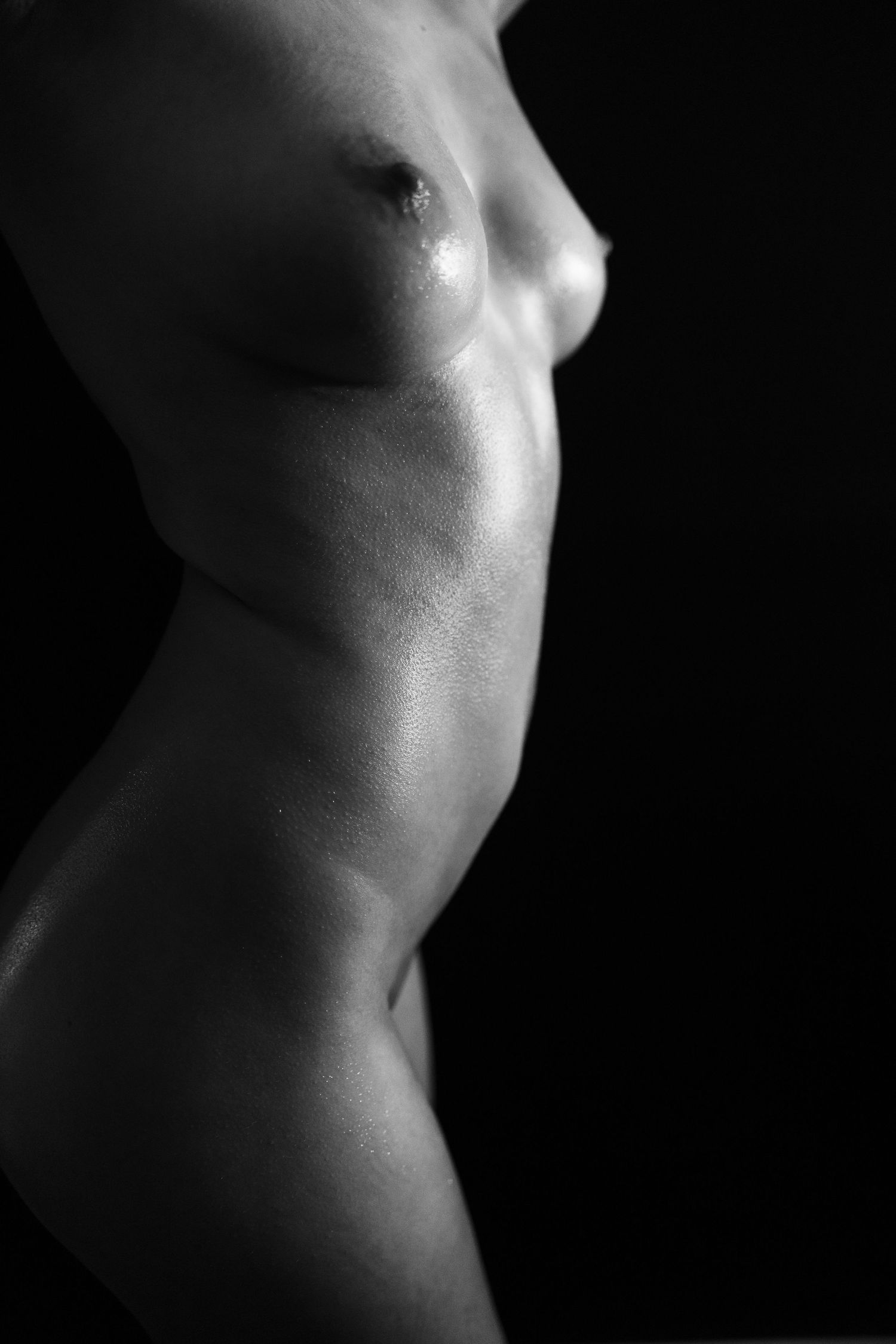 Black and white artistic nude boudoir body scape photo showing a woman's body abstract close-ups of human torso forms in dramatic lighting.