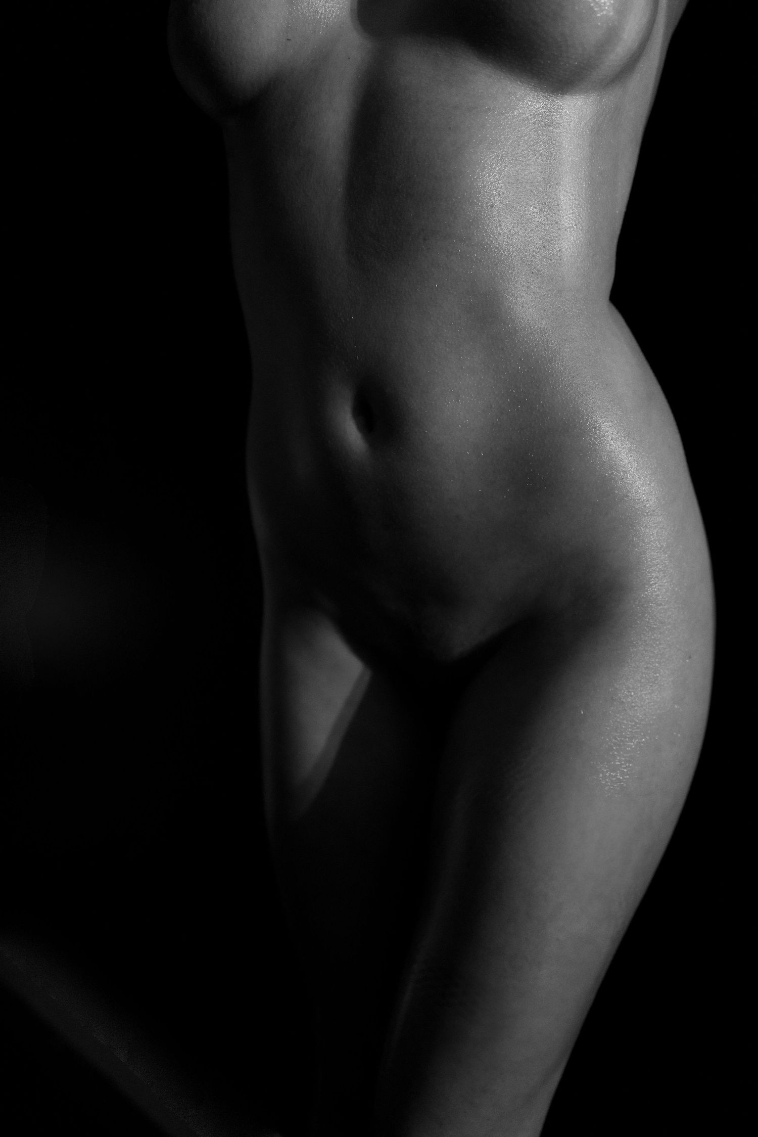 Black and white artistic nude boudoir body scape showing a woman's torso abstract curves and shadows of the human form in dramatic lighting.
