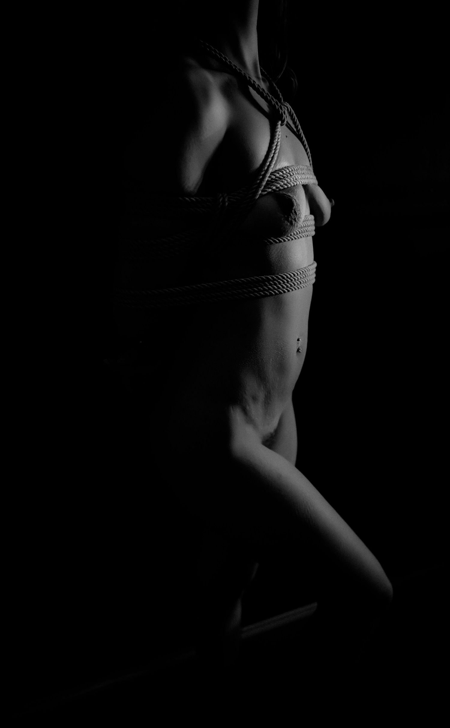 Black and white nude boudoir body scape photo showing torso silhouettes in shibari rope bondage with dramatic shadows and lighting.
