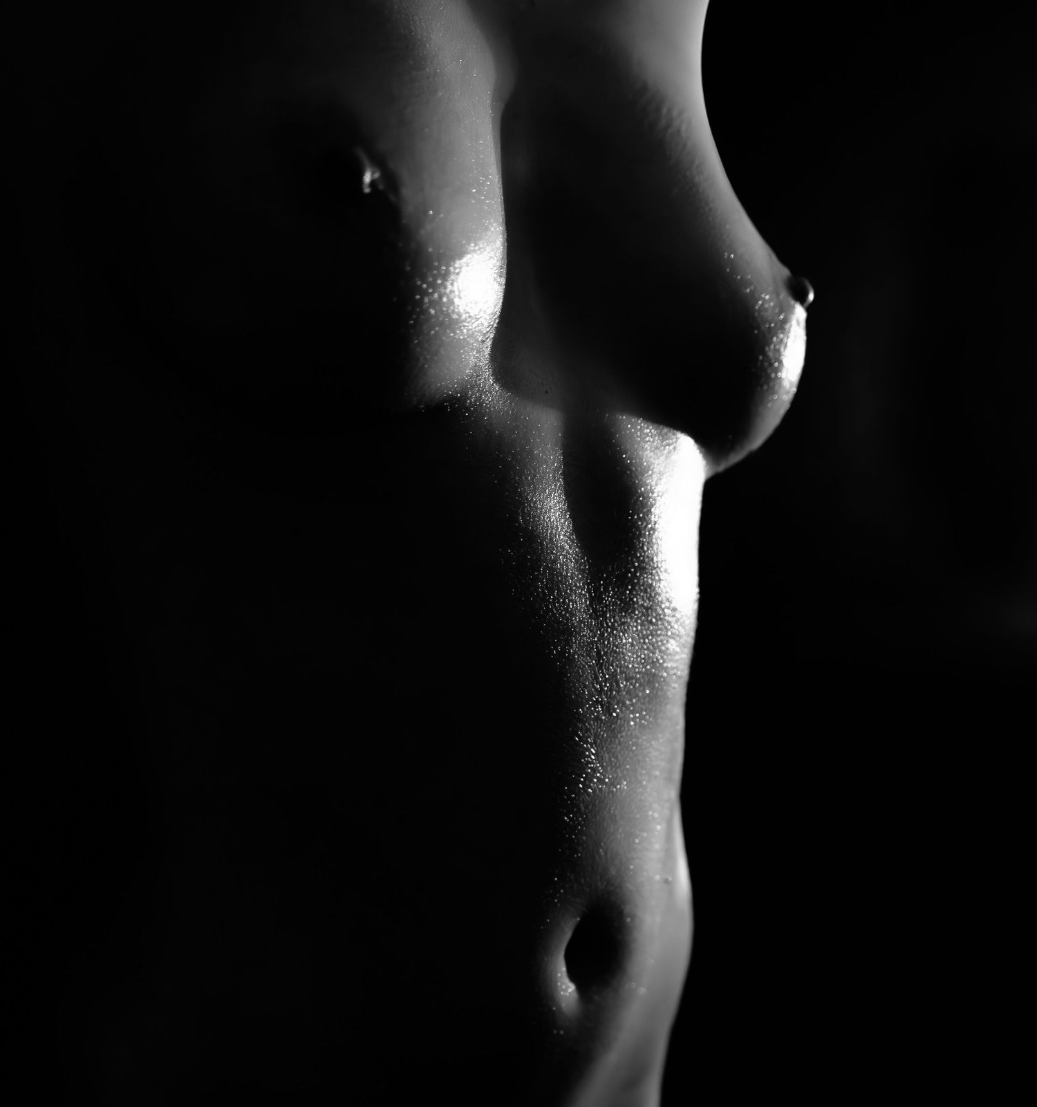 Artistic black and white nude photography series showing silhouettes and body contours in dramatic lighting.