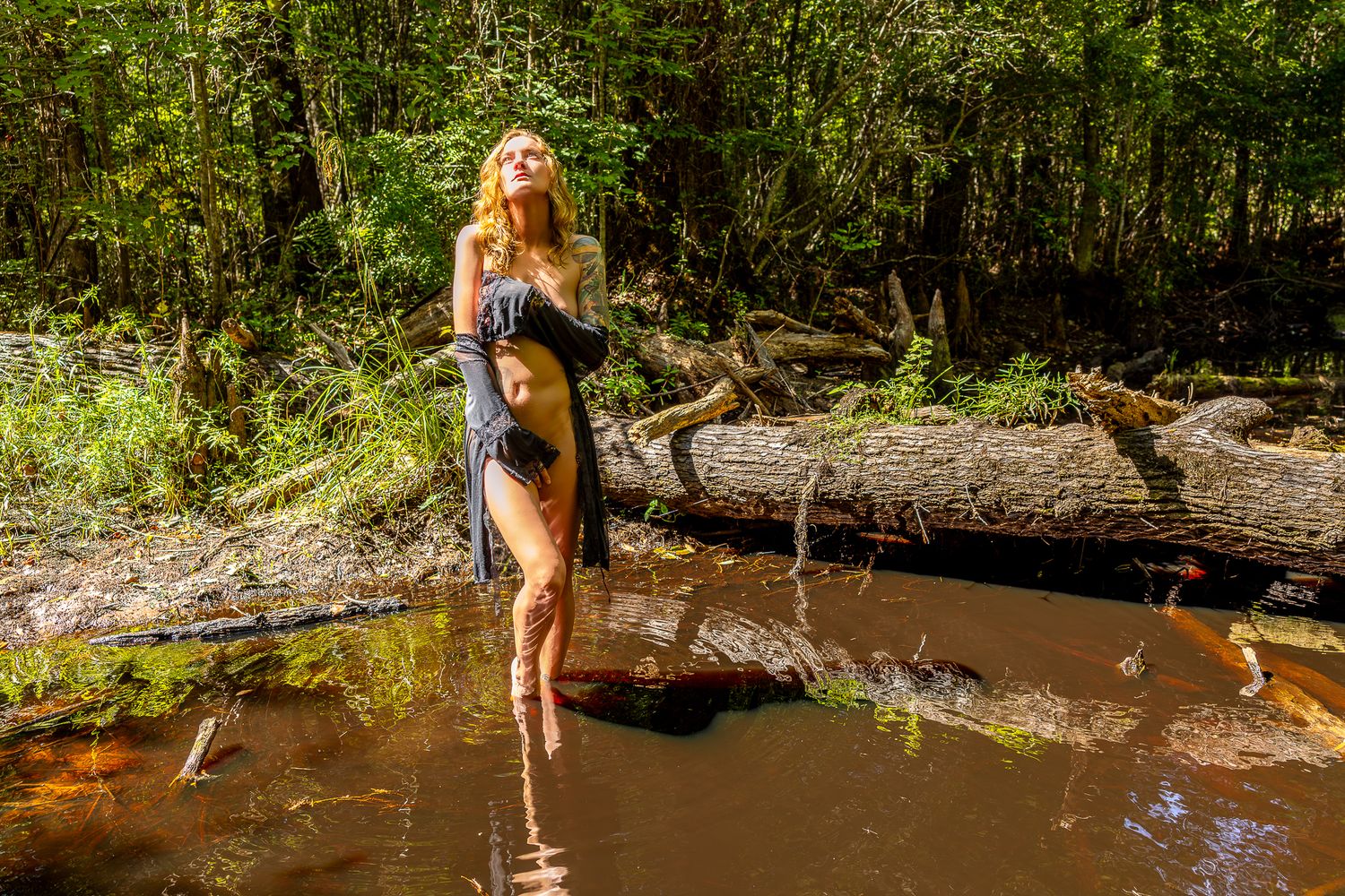 An outdoor nude boudoir photo of a woman in a black lace robe standing in a shallow creek with fallen logs and trees along the muddy banks.
