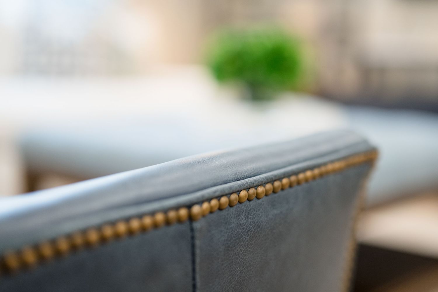 A macro shot shows a shallow depth of field with a blurred background and selective focus on the foreground.