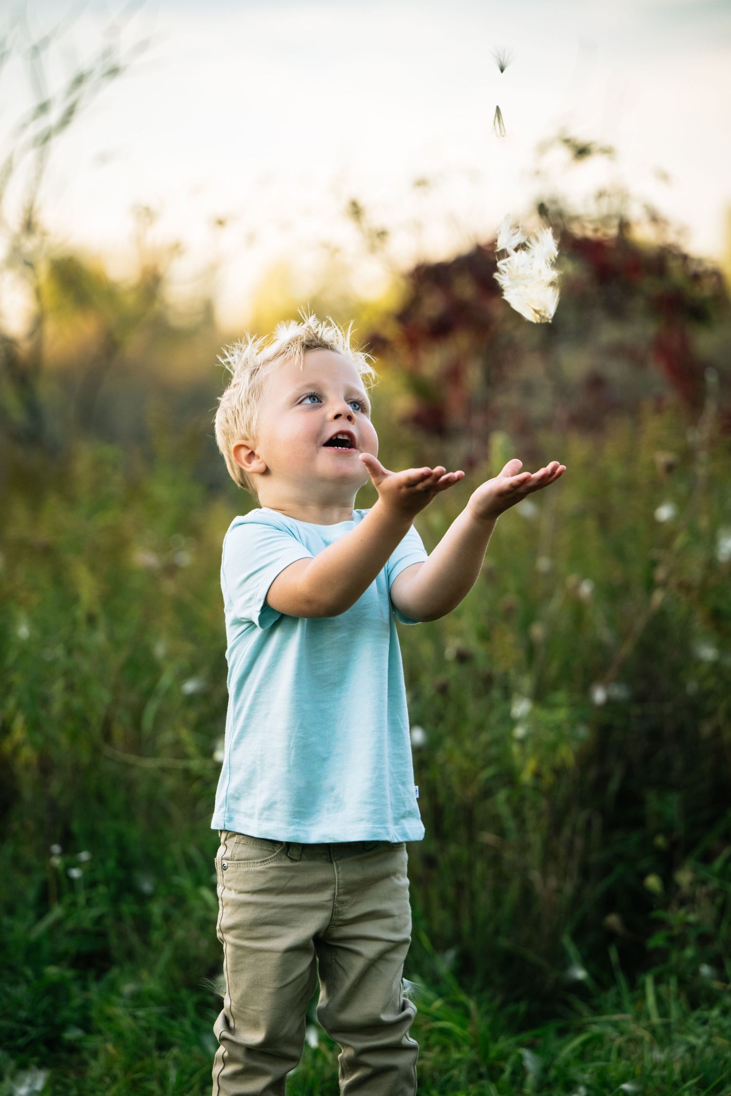 Young child in light blue shirt and khaki pants reaches up to catch floating feathers in a sunlit meadow at dusk.
