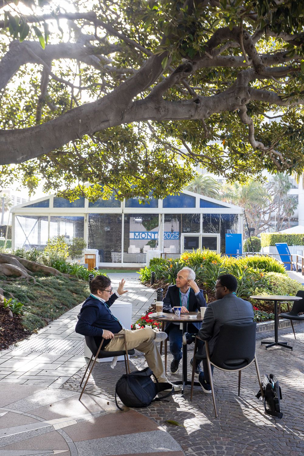 People networking outdoors on a patio surrounded by trees during a corporate conference.