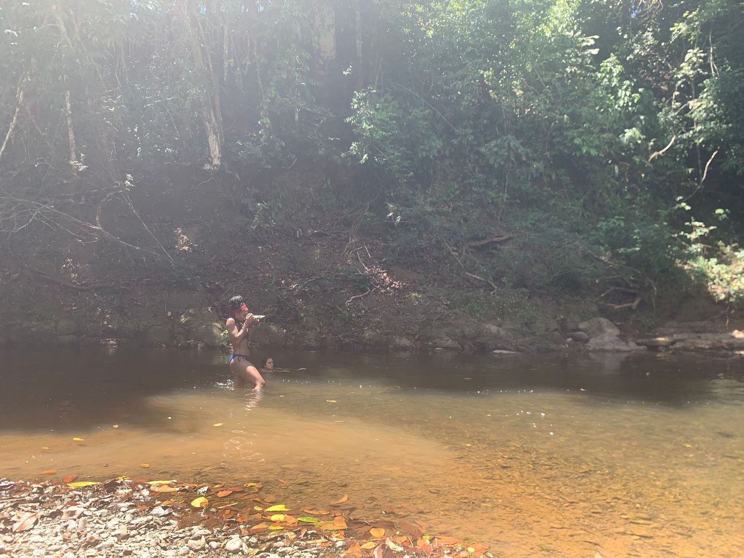 Person wading through a shallow creek surrounded by lush green trees in a forest setting.