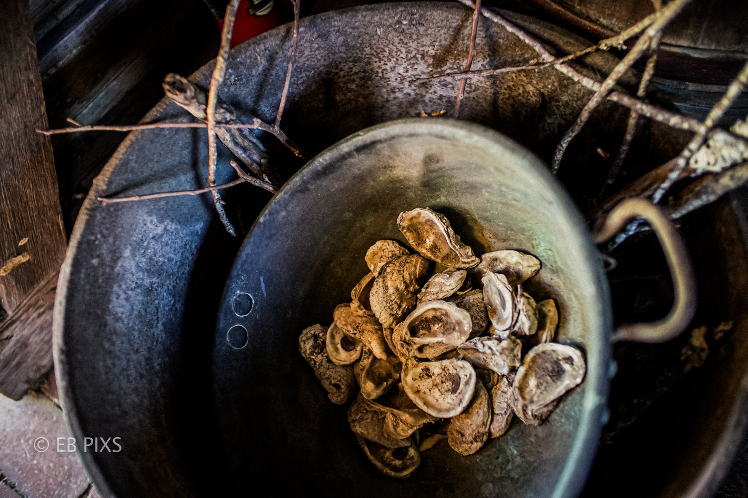 Dried oyster shells collected in an antique metal bowl in a rustic setting.