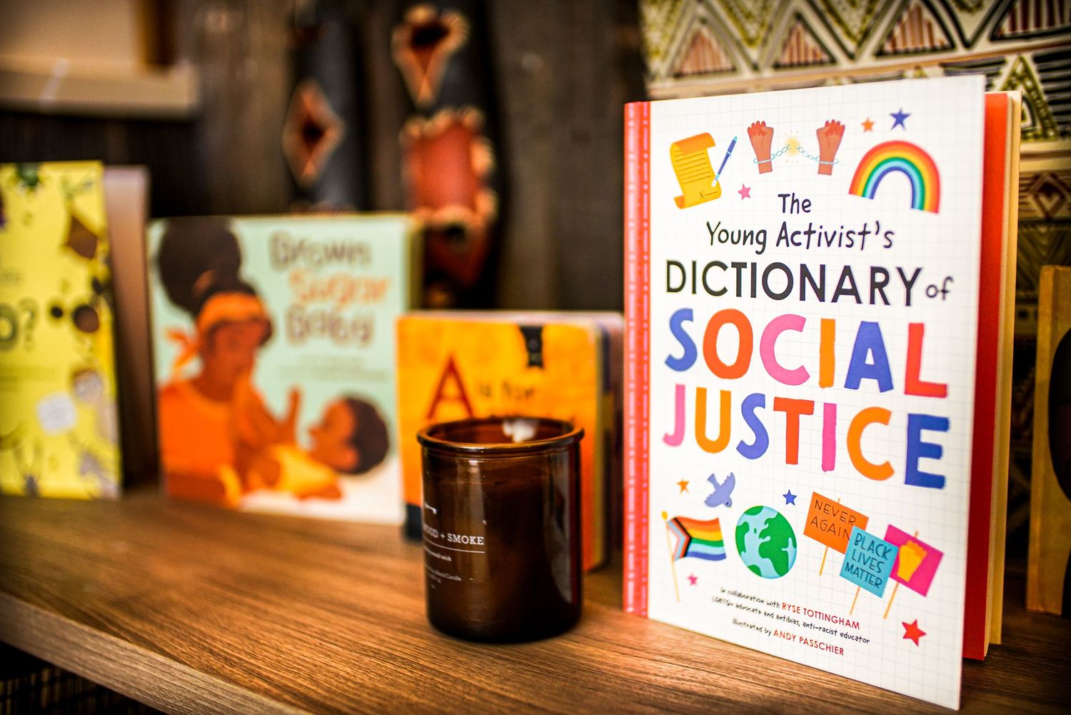 The Young Activist's Dictionary of Social Justice book displayed on a wooden shelf with other books.