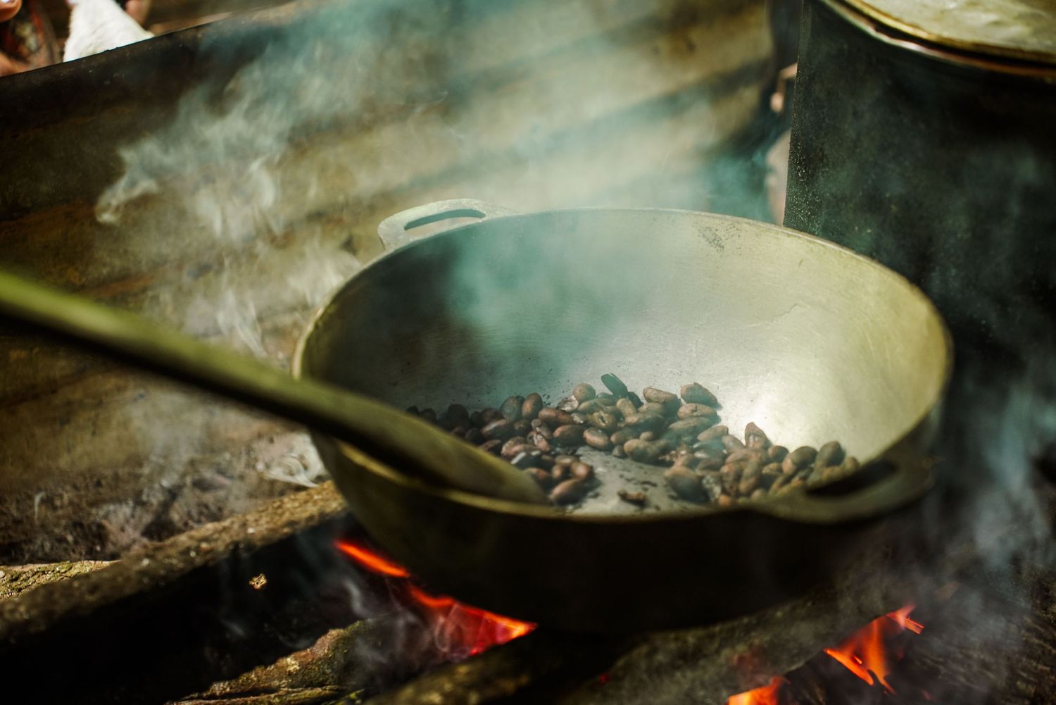 Cacao beans roasting in a smoking pan over an open wood fire.