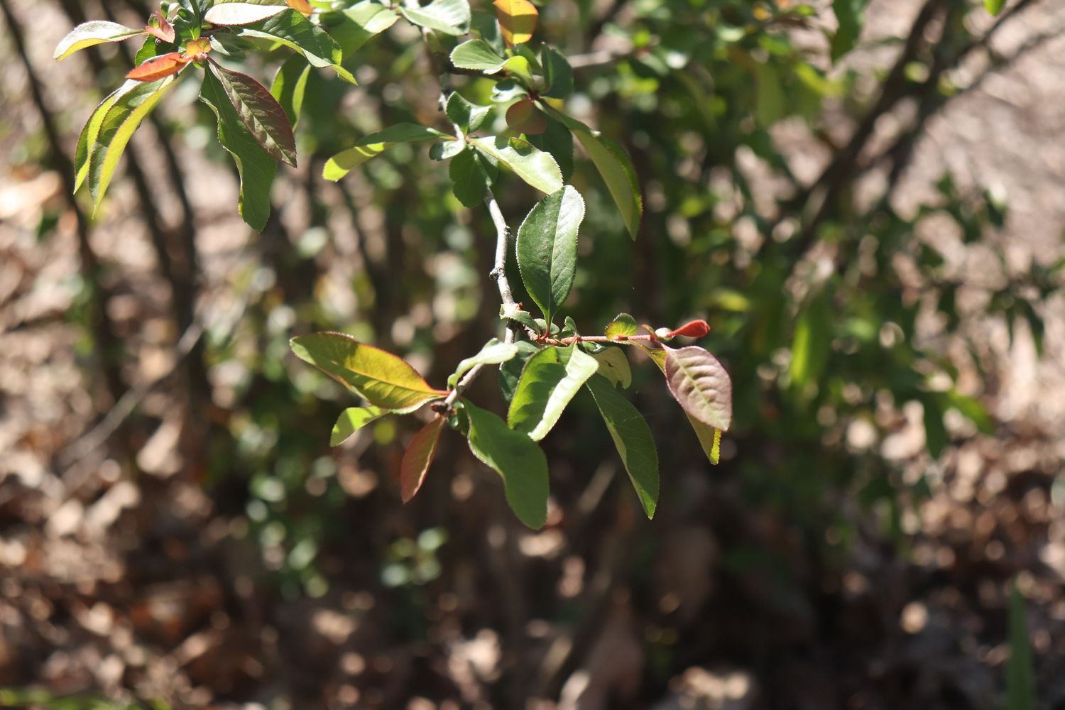outside nature can be still with tinny details
