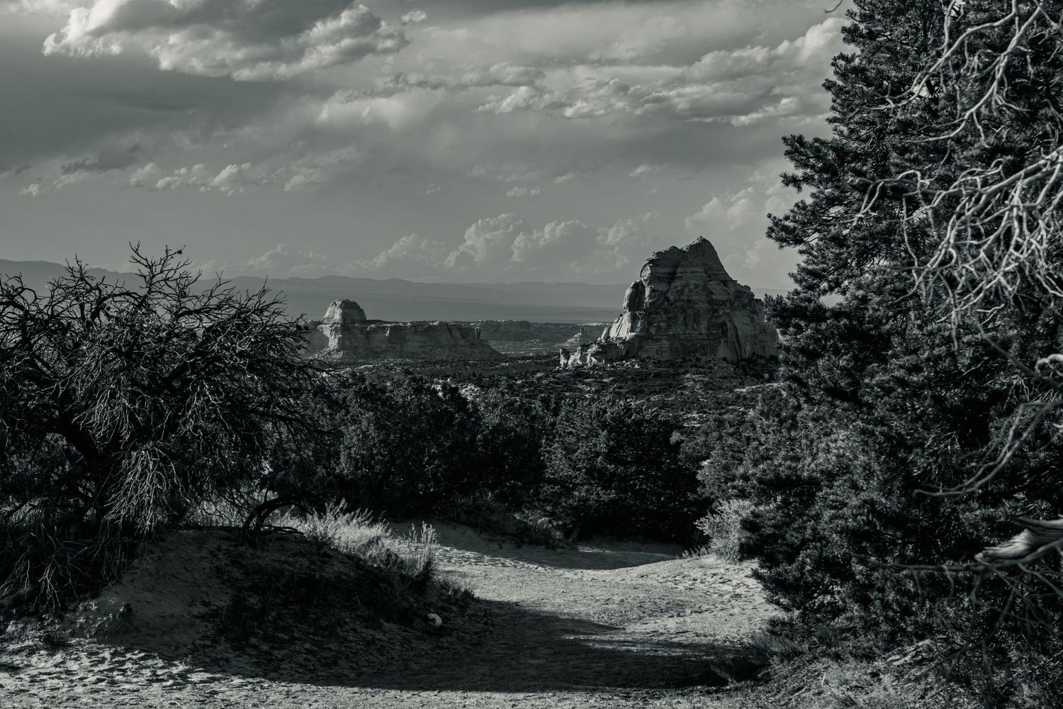Black and white desert trail winding through sandstone rock formations and sparse trees under dramatic cloudy sky.