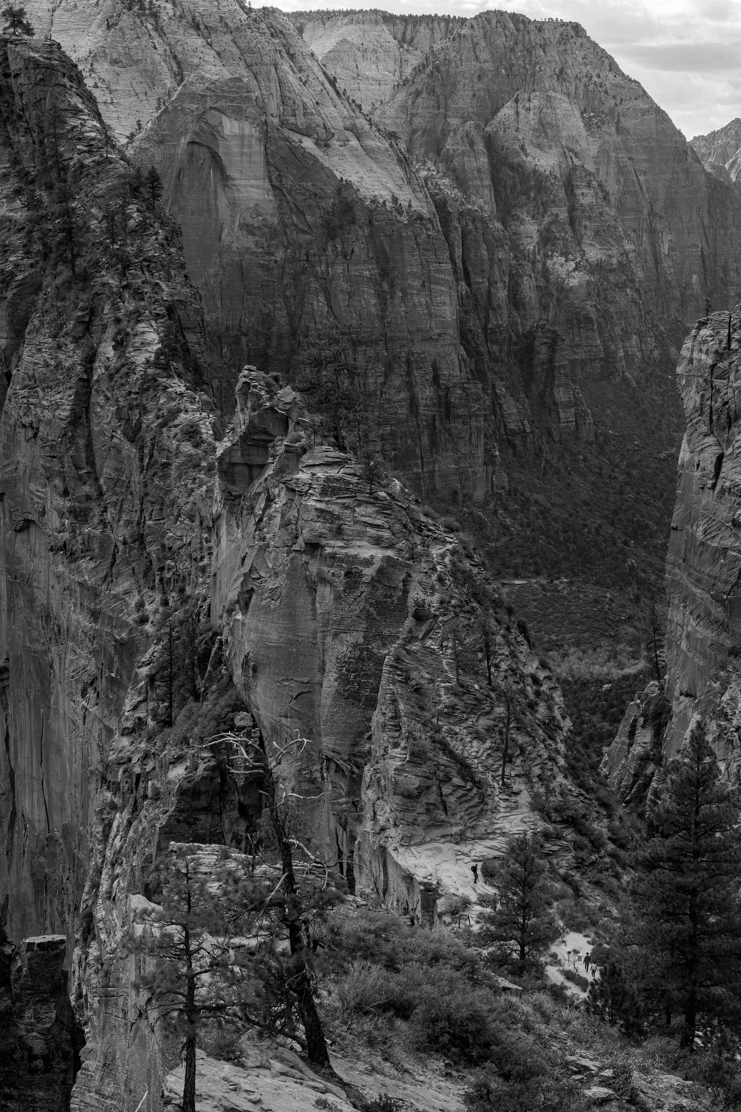 Dramatic black and white aerial view of Zion National Park's towering sandstone canyon walls.