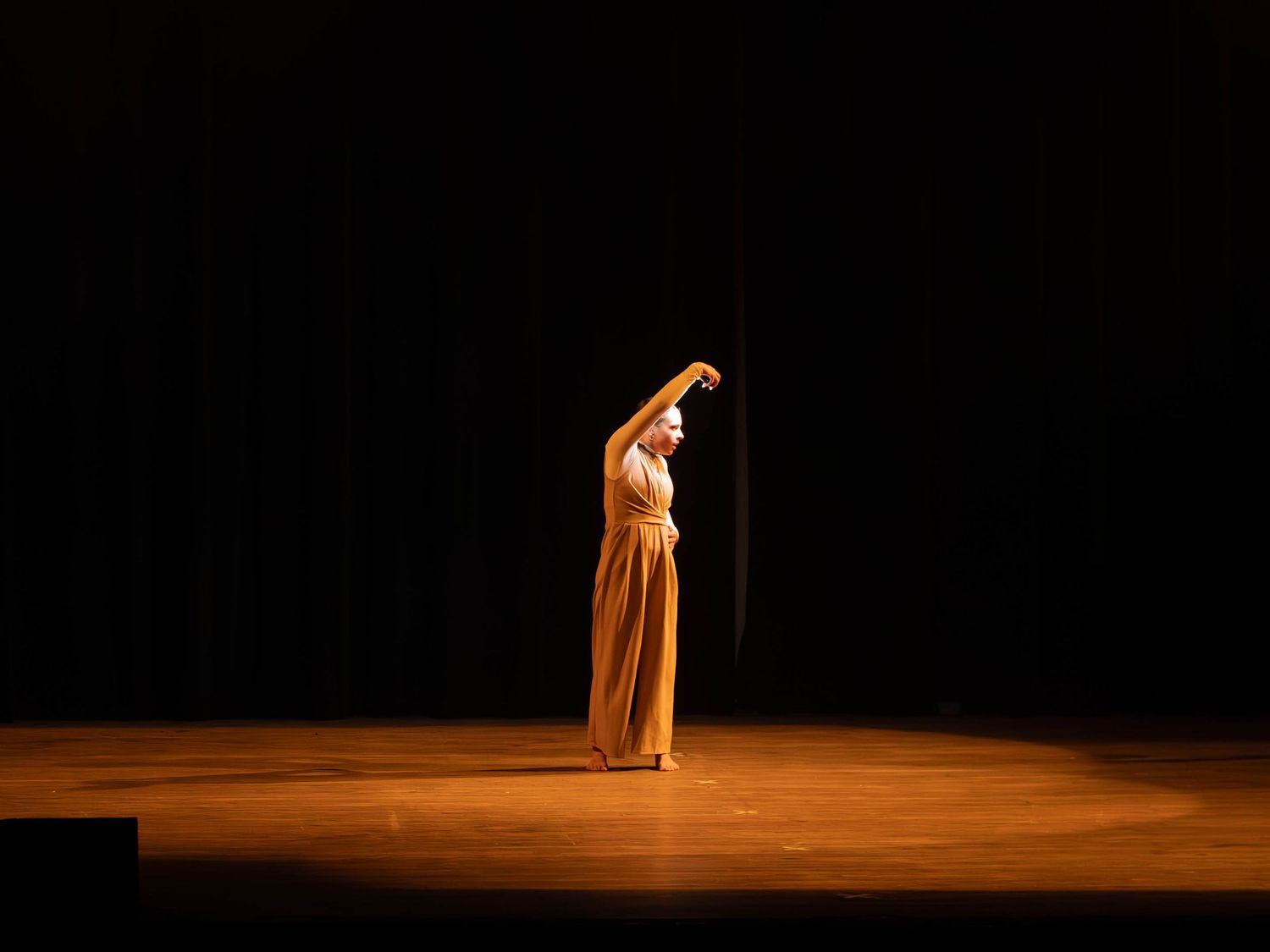 A solo dancer performs on a dimly lit stage in a flowing golden gown with one arm raised gracefully overhead.