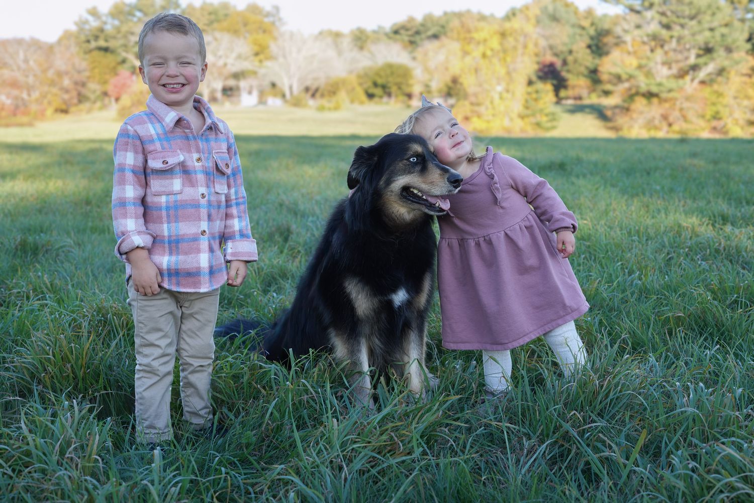 Two young children standing in a green field with a large black and tan dog between them.