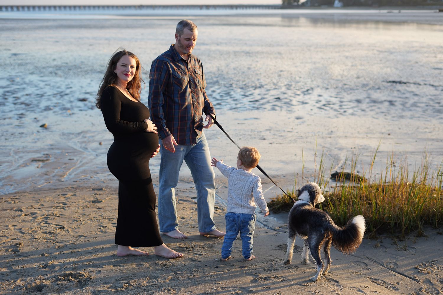 A pregnant woman and man walk their dog with a toddler on a scenic beach at sunset.
