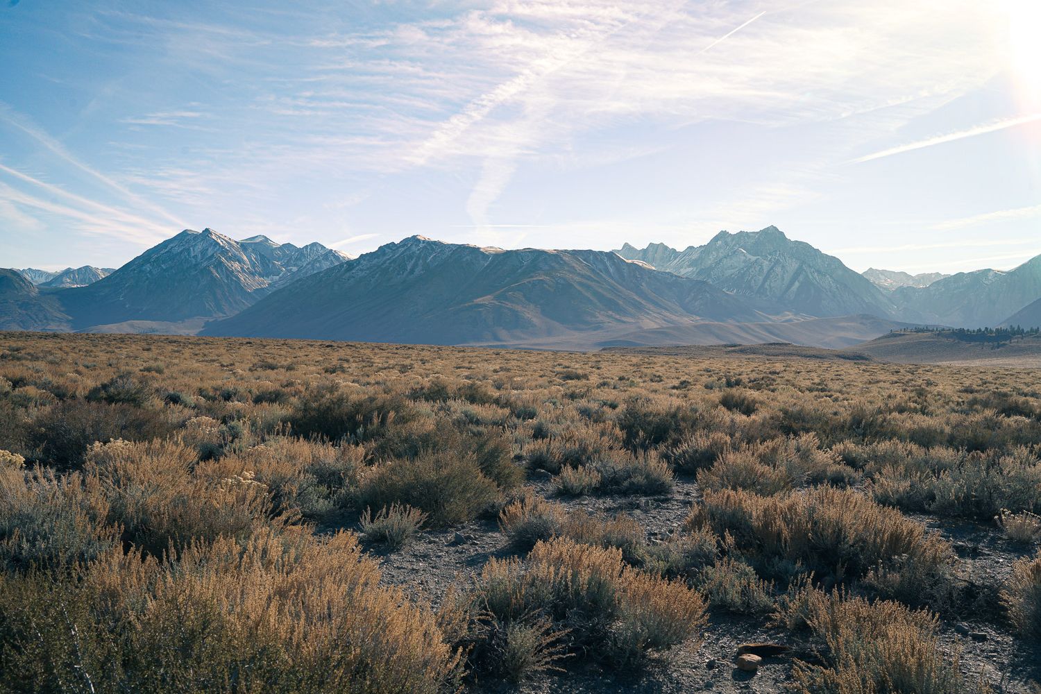 Vast arid sagebrush plain stretching toward snow-capped Sierra Nevada mountain range under a hazy sky.