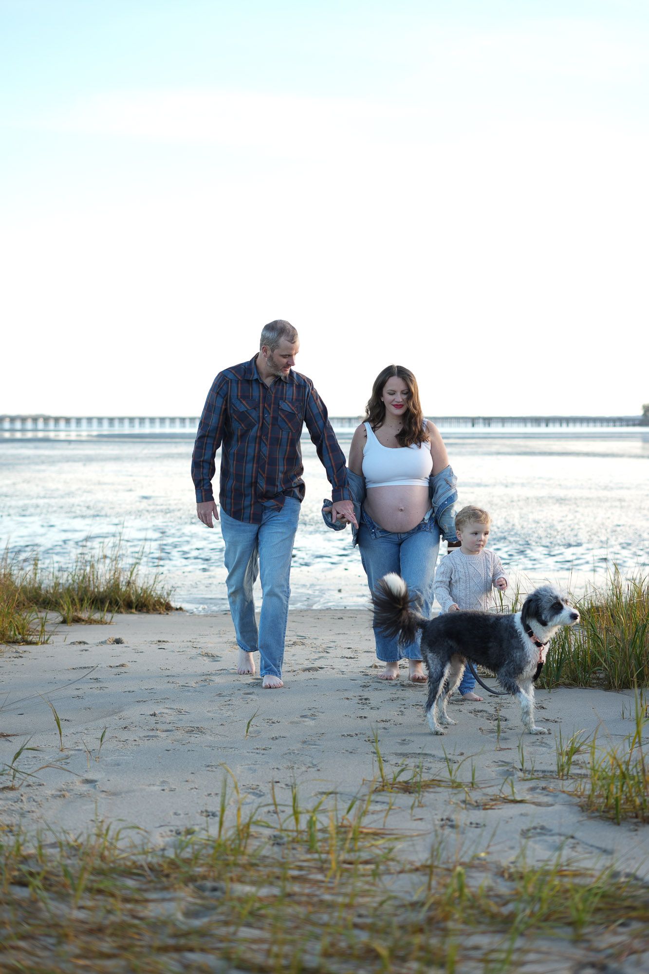 Happy pregnant family with toddler and dog walking barefoot on sandy beach at sunset.