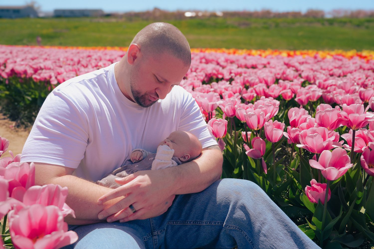 Father cradling newborn baby while sitting in a pink tulip field.