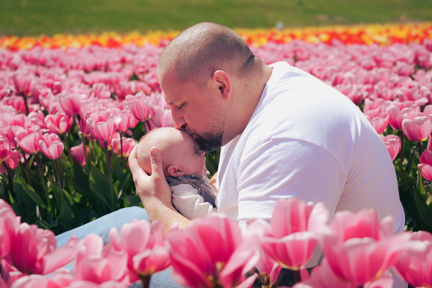 Father kissing newborn baby in a vibrant pink tulip field.