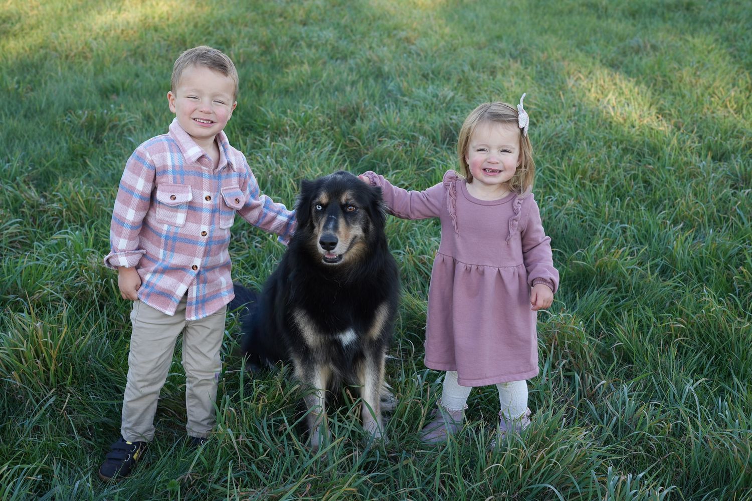 Two smiling children stand with a black and brown dog on a lush green lawn.